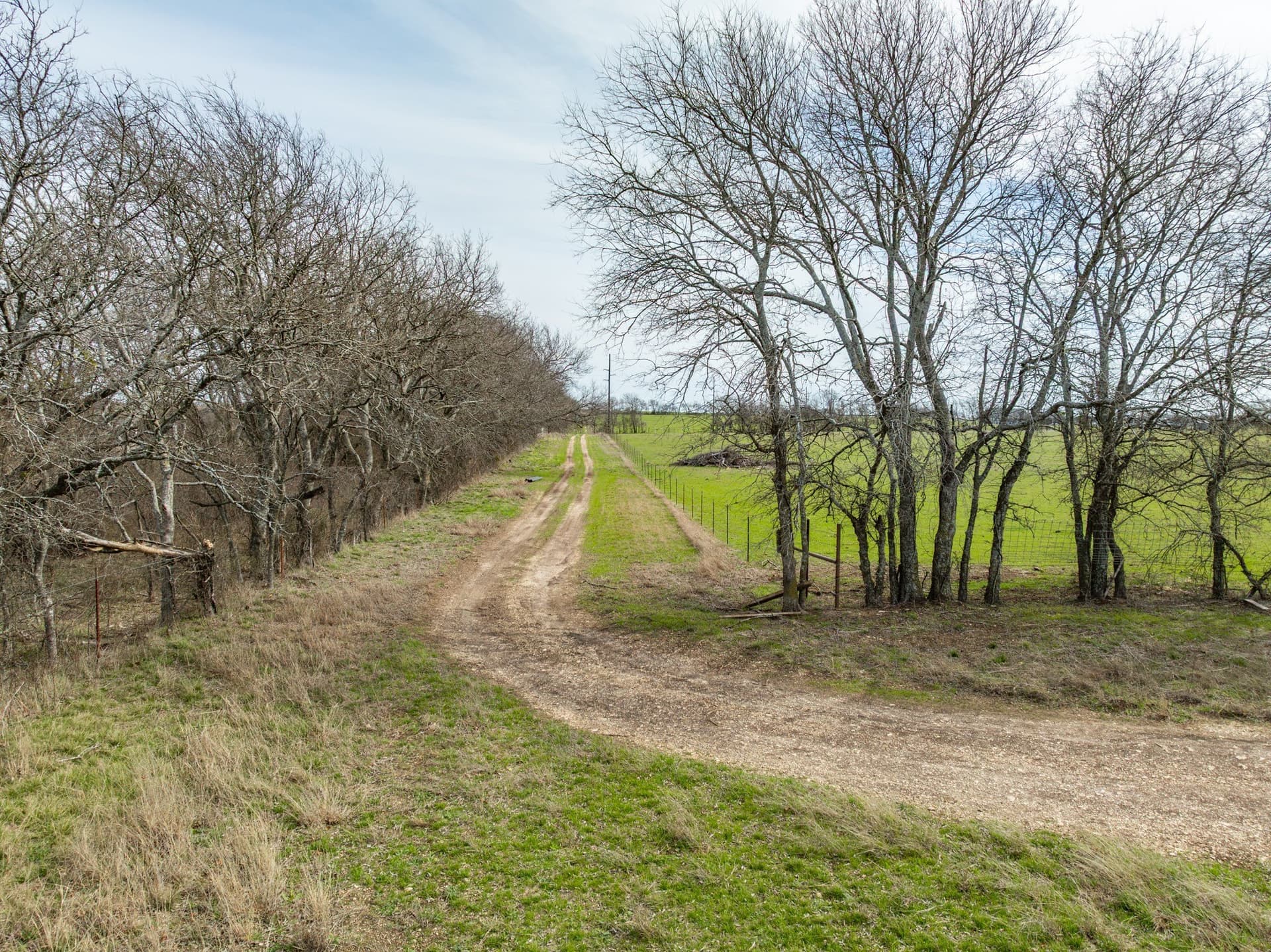 29.42 acres in Hill County - photo 4