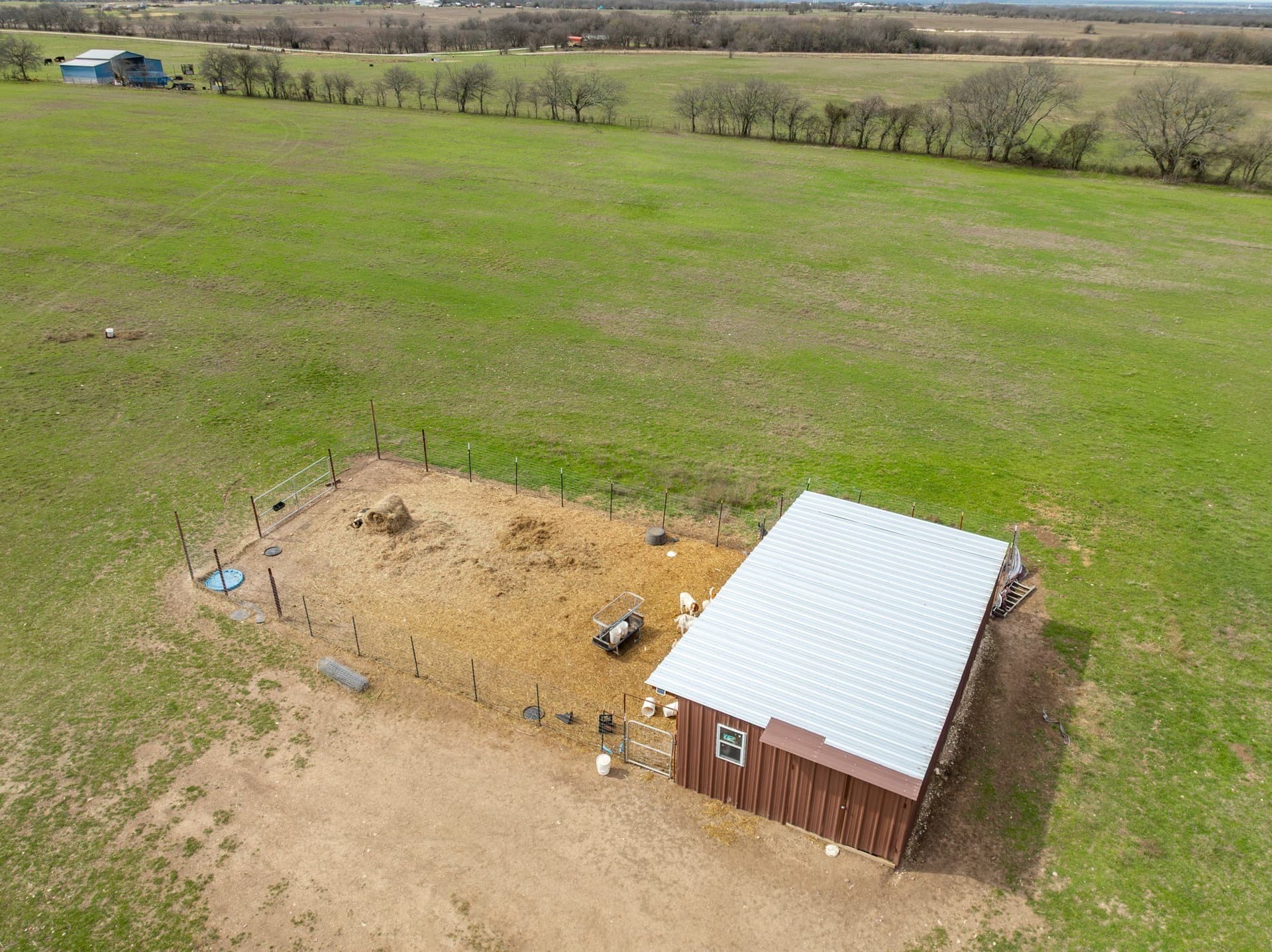 29.42 acres in Hill County - photo 11