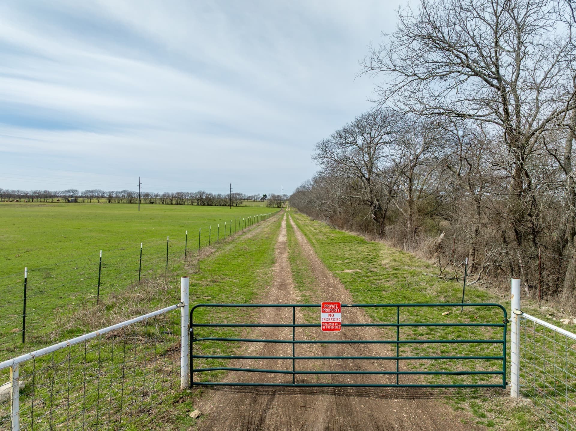 29.42 acres in Hill County - photo 3