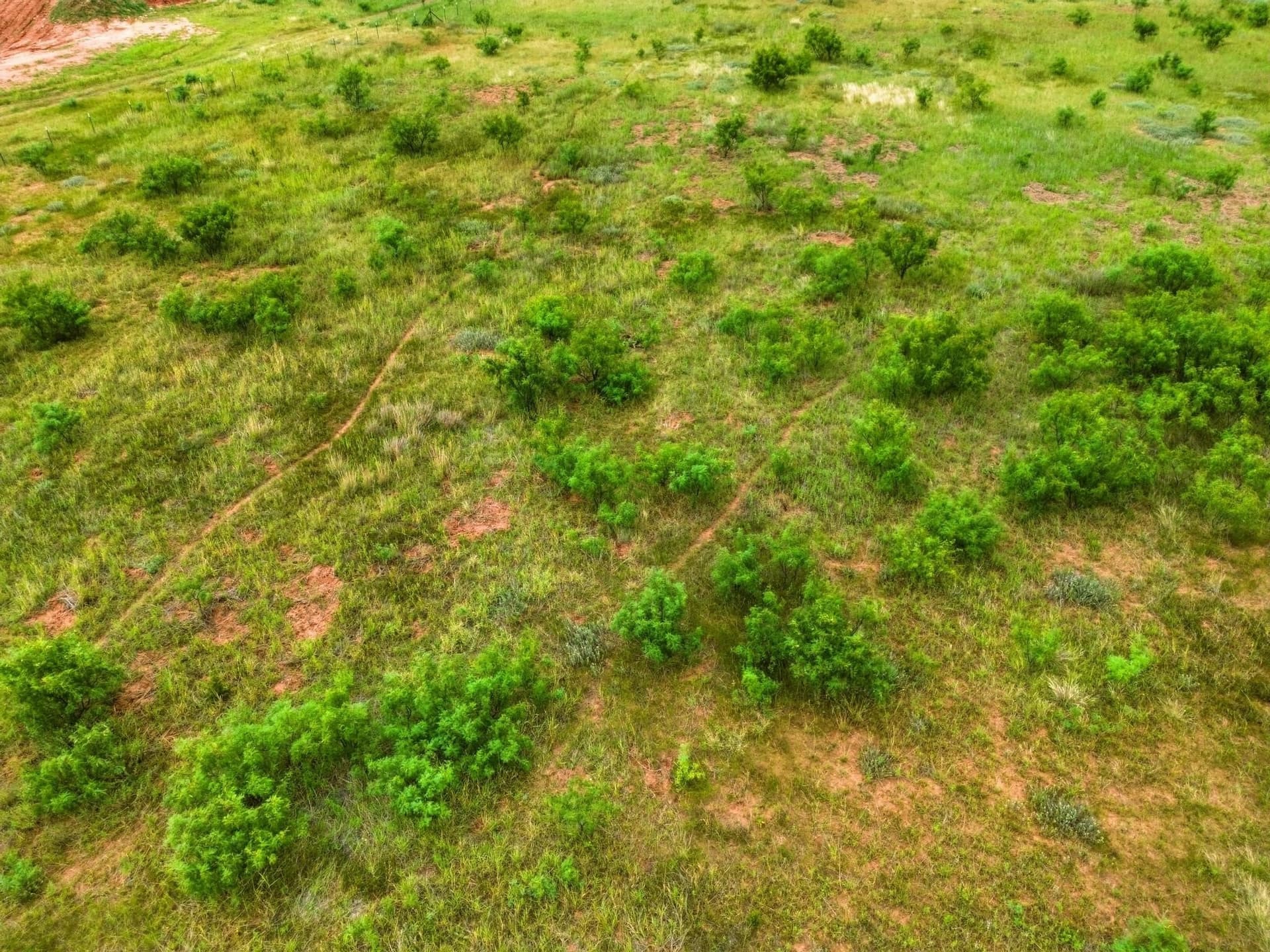 10 acres in Taylor County - photo 29