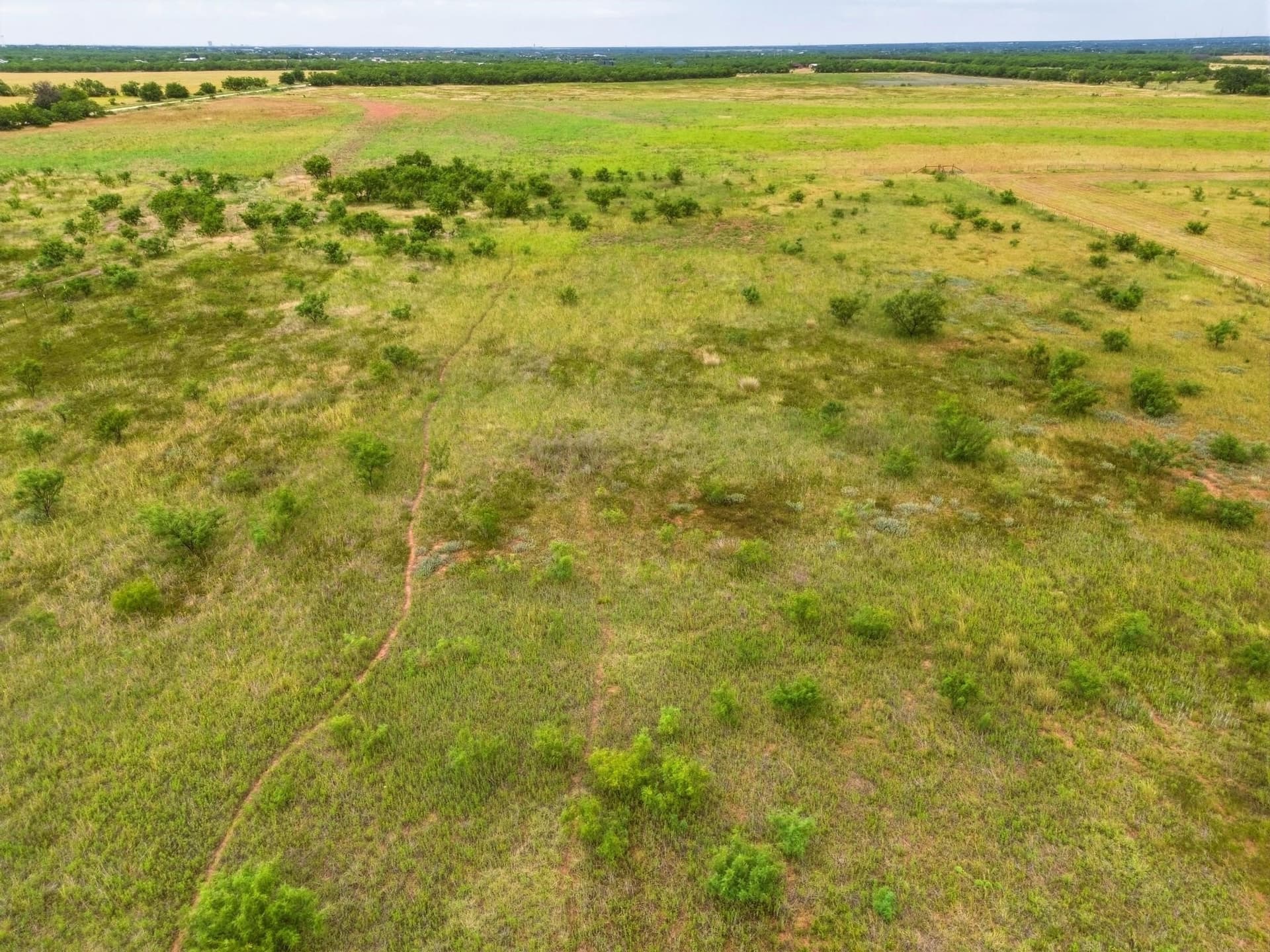 10 acres in Taylor County - photo 28