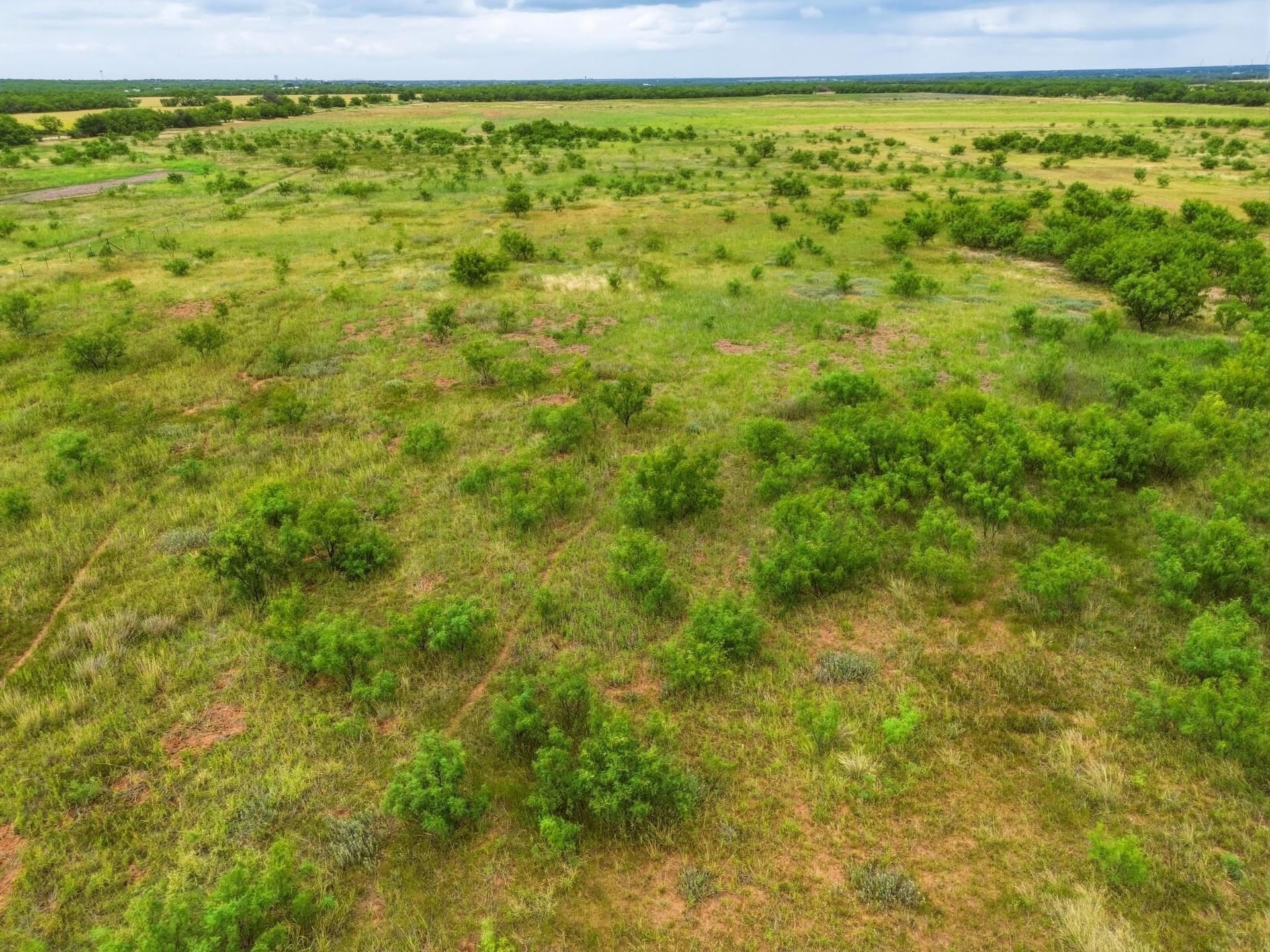 10 acres in Taylor County - photo 30