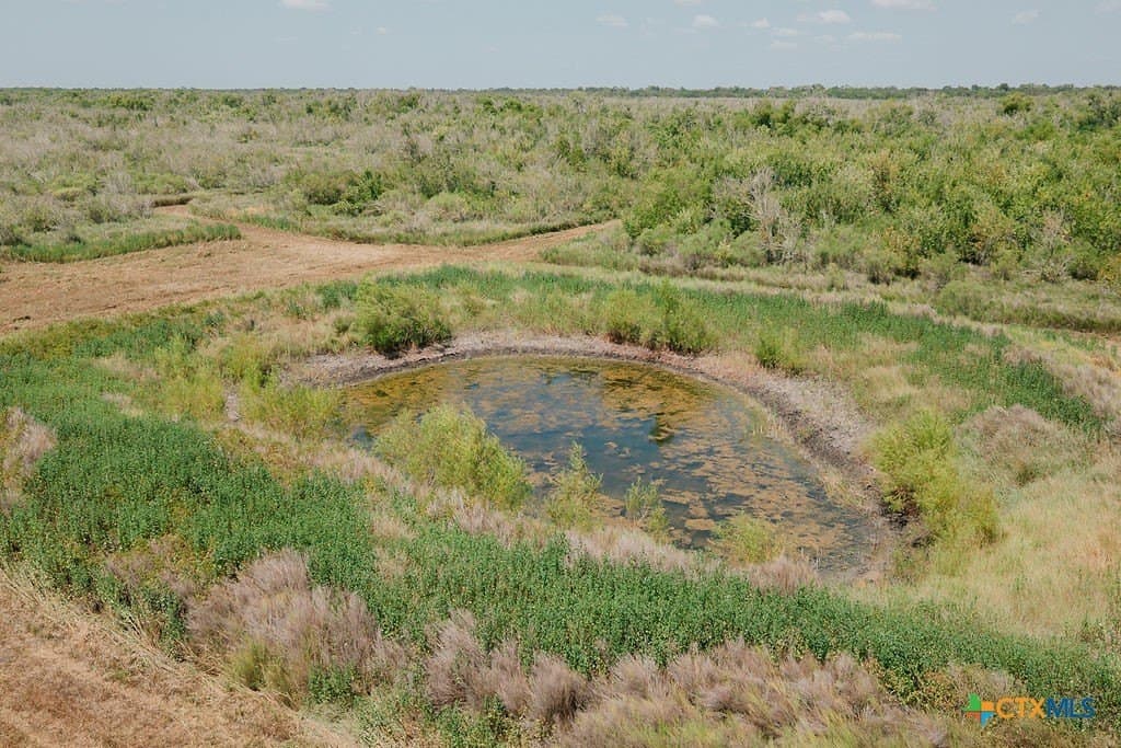 20.52 acres in Calhoun County - photo 4