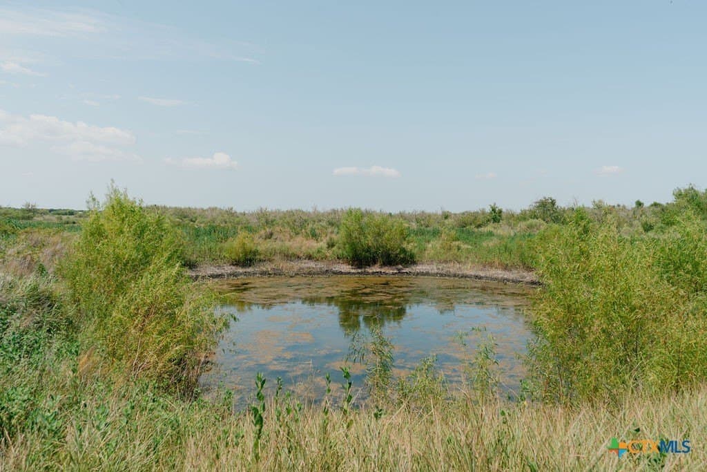 20.52 acres in Calhoun County - photo 3
