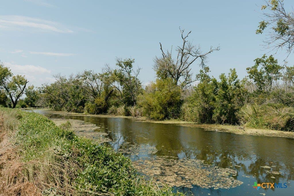 20.52 acres in Calhoun County - photo 6