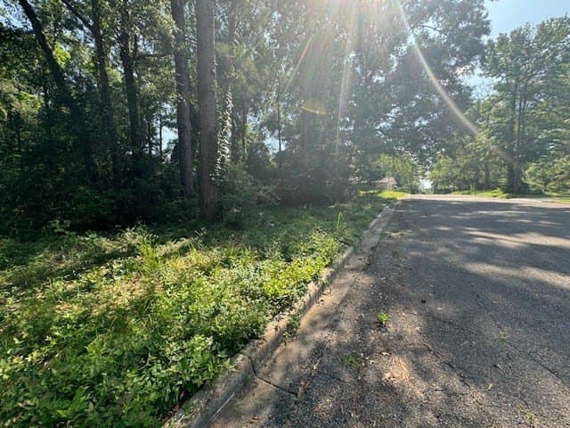 0.71 acres in Texas County gallery image 3
