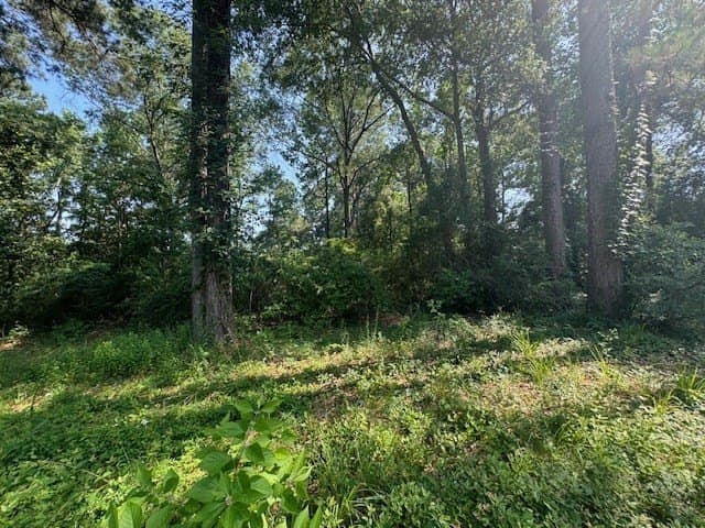 0.71 acres in Texas County gallery image 2