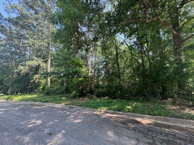 0.71 acres in Texas County gallery image 4