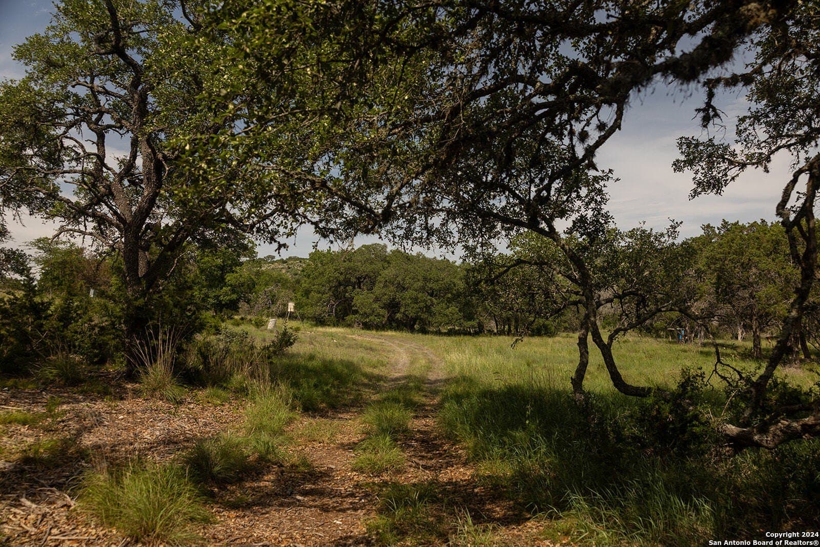 60 acres in Kerr County - photo 29