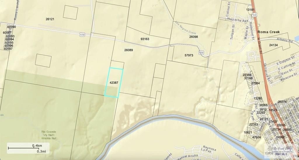 25.26 acres in STARR County gallery image 2