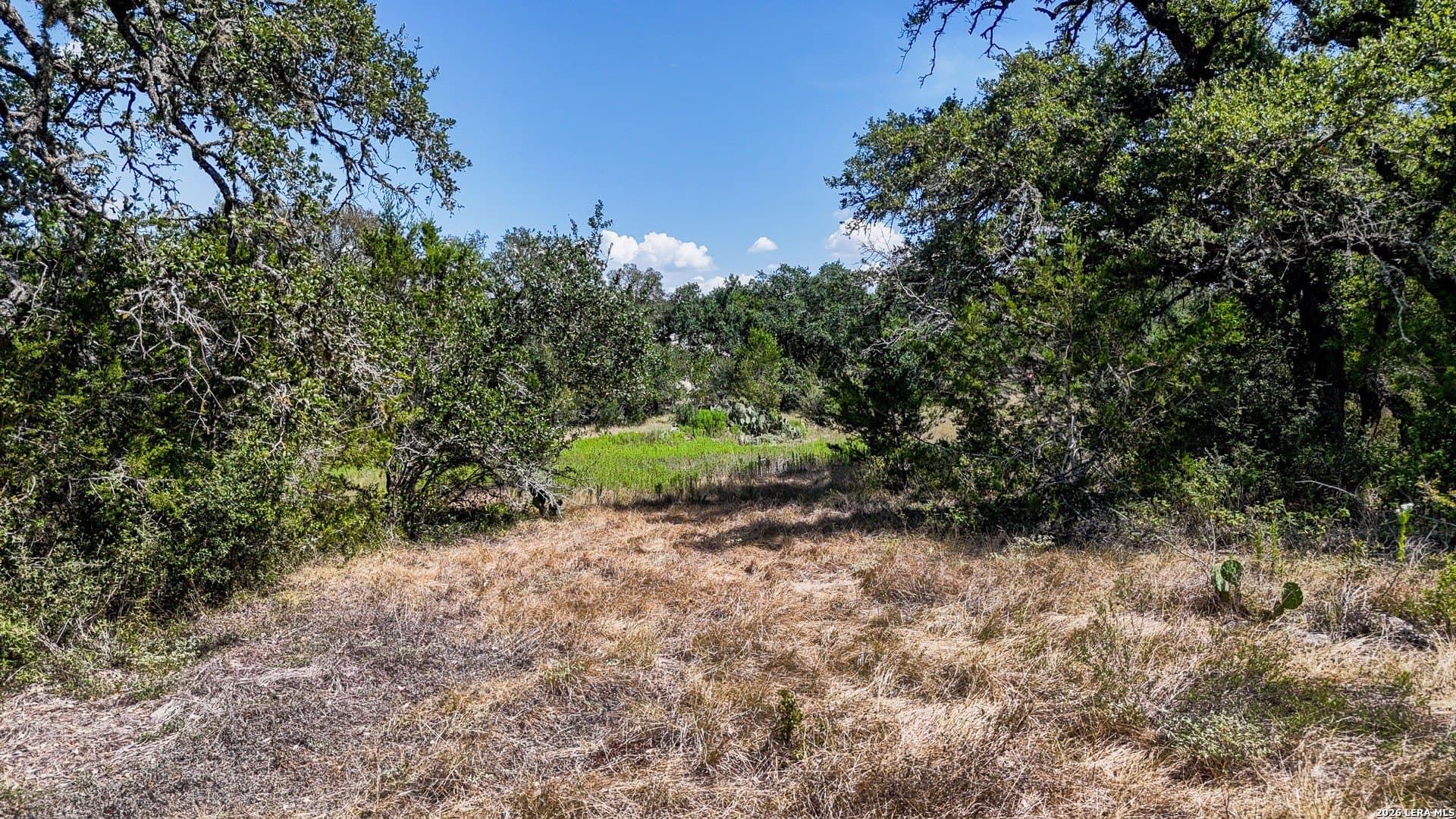4.89 acres in Hays County - photo 24