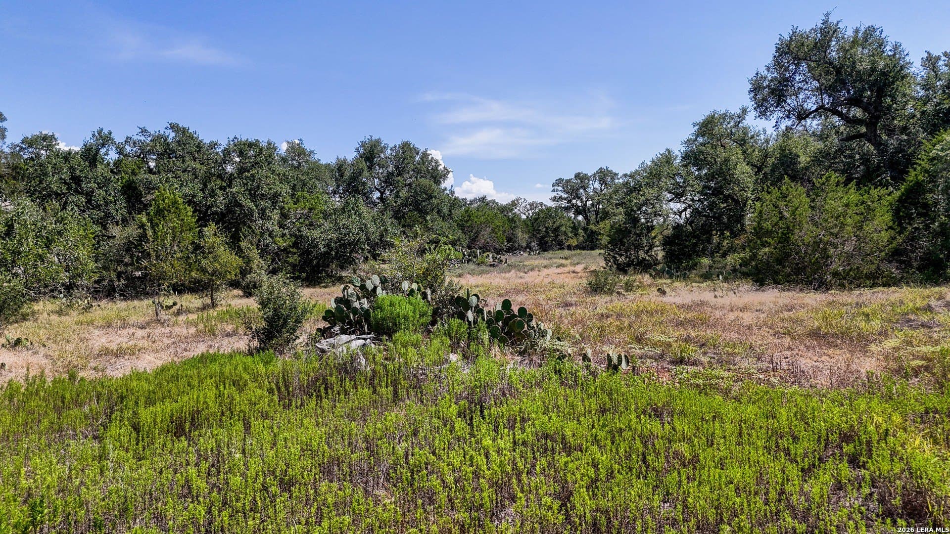 4.89 acres in Hays County - photo 25