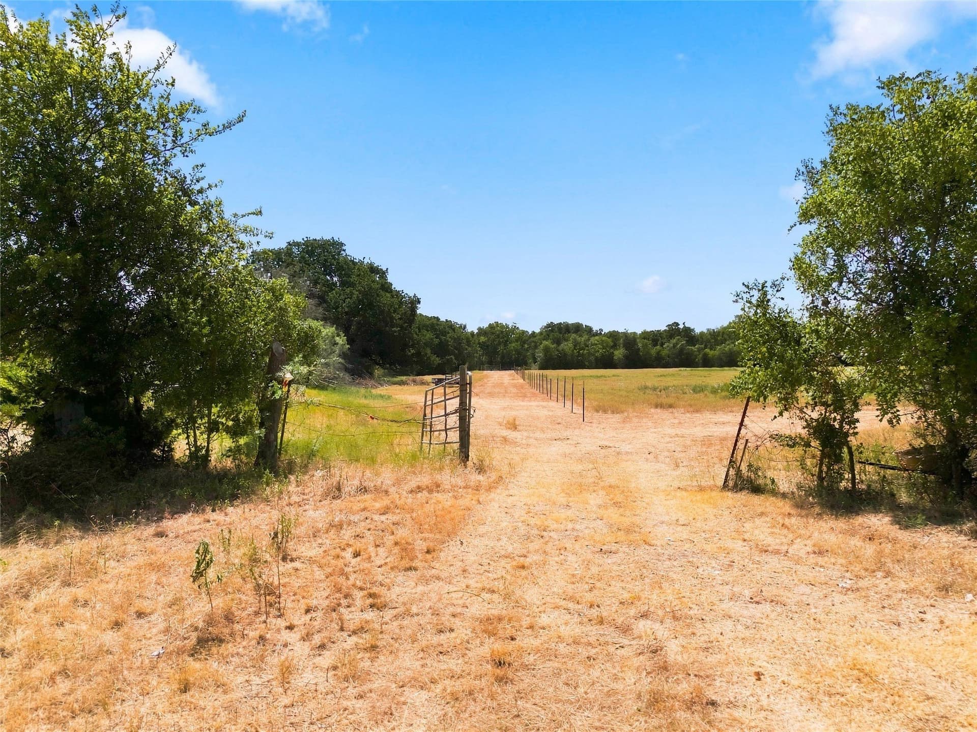 5.01 acres in McLennan County - photo 7