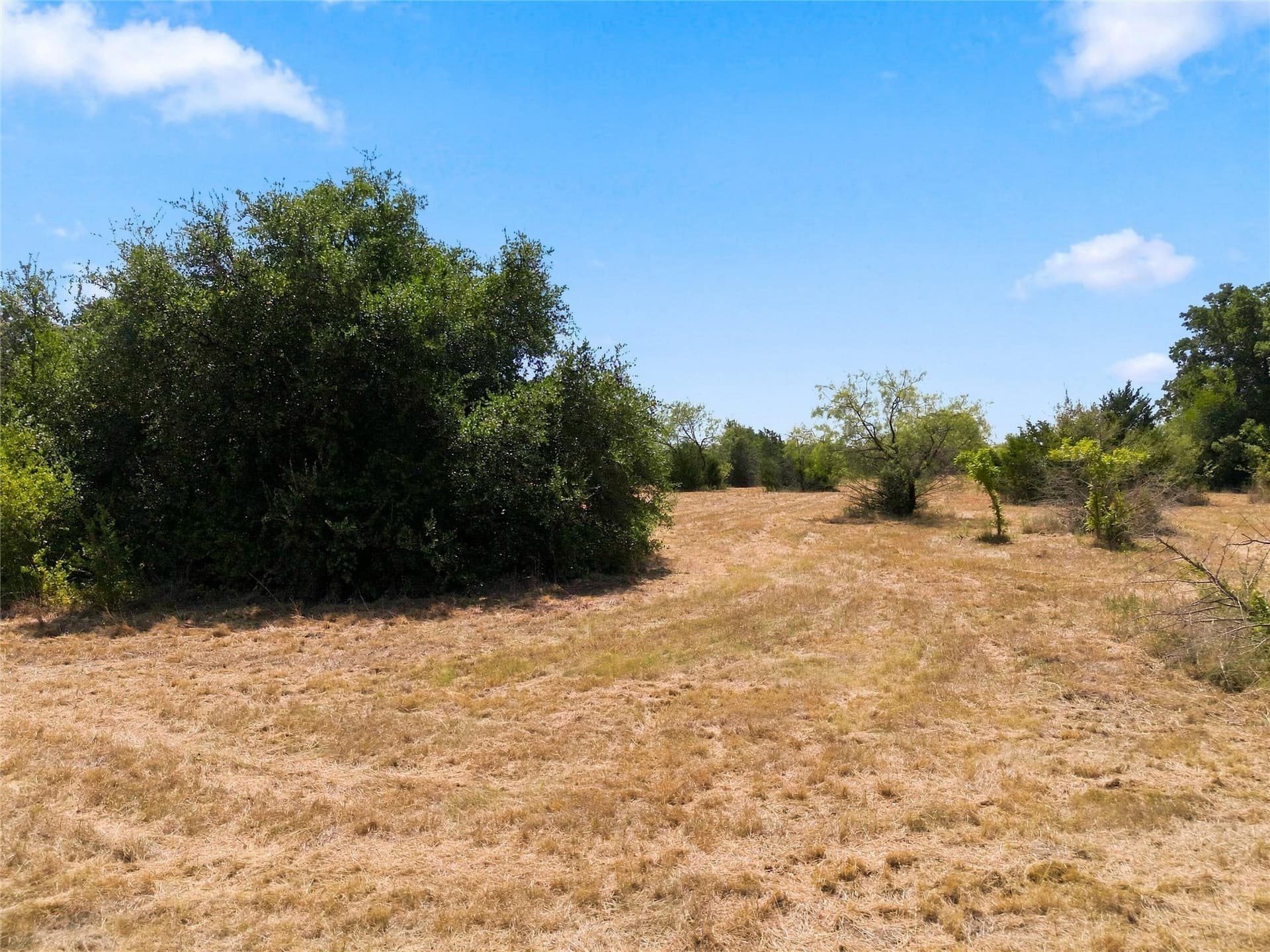 5.01 acres in McLennan County - photo 5