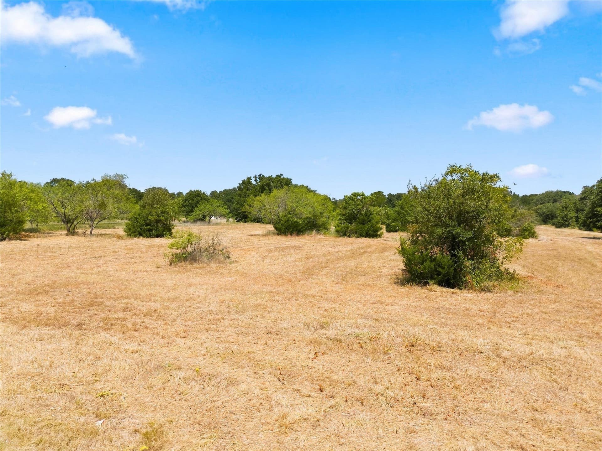 5.01 acres in McLennan County - photo 6