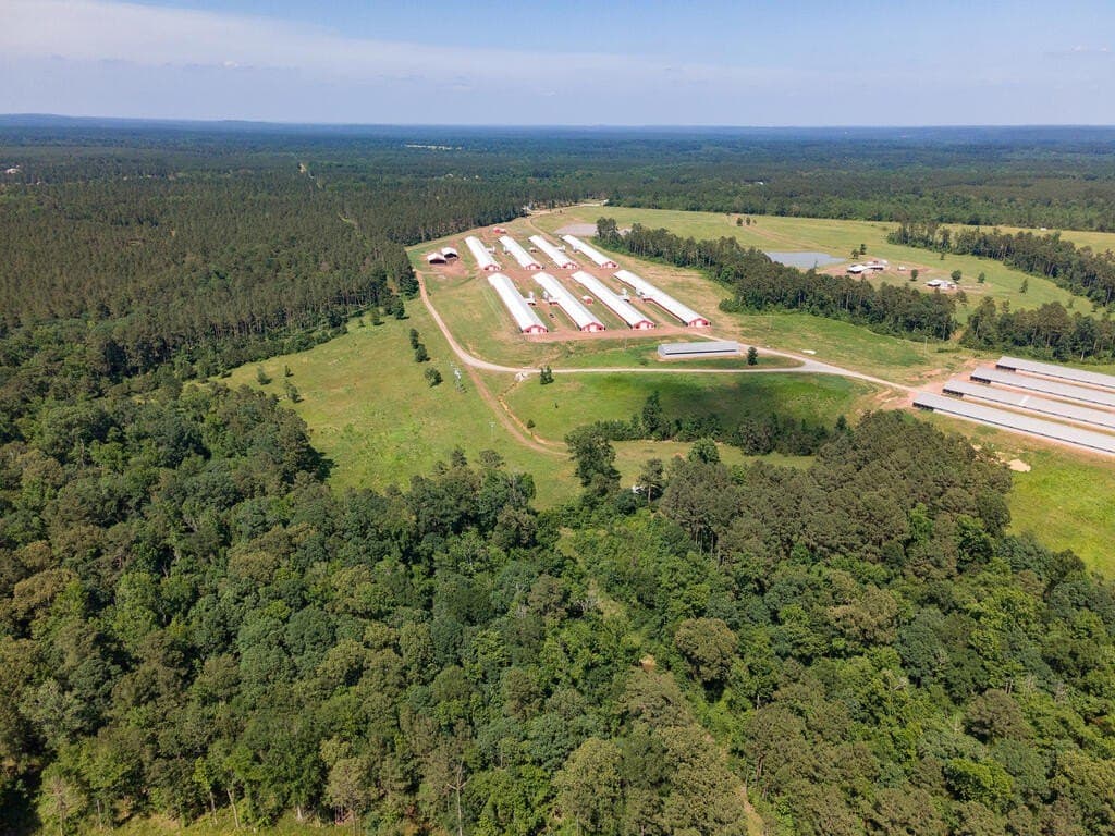 96 acres in Texas County - photo 4