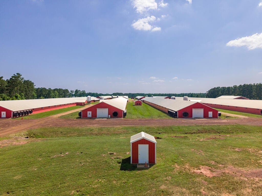 96 acres in Texas County - photo 8