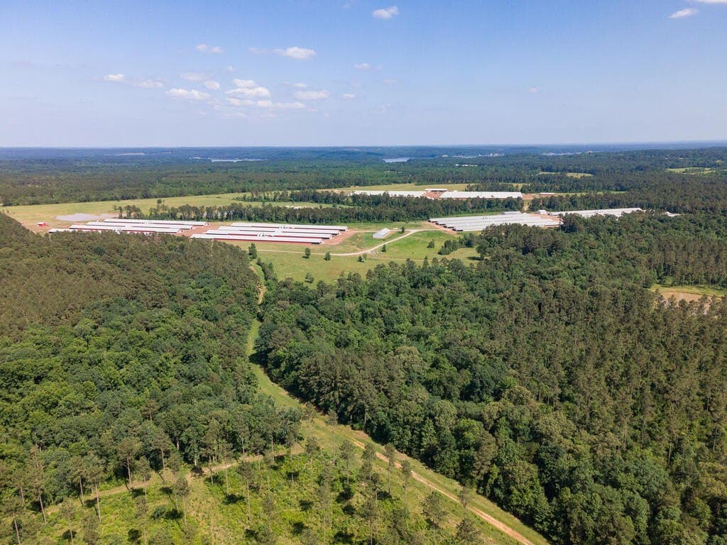 96 acres in Texas County - photo 13