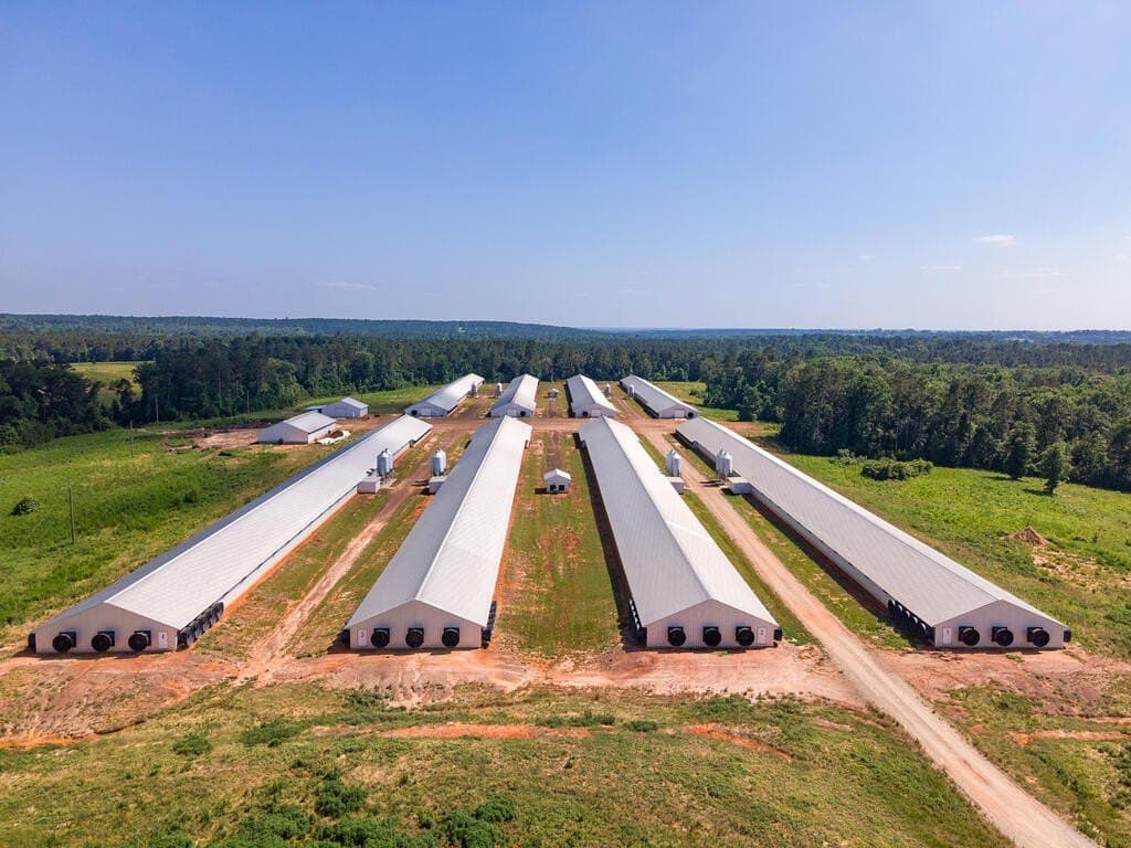 96 acres in Texas County - photo 11