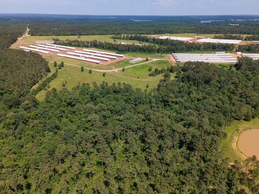 96 acres in Texas County - photo 3