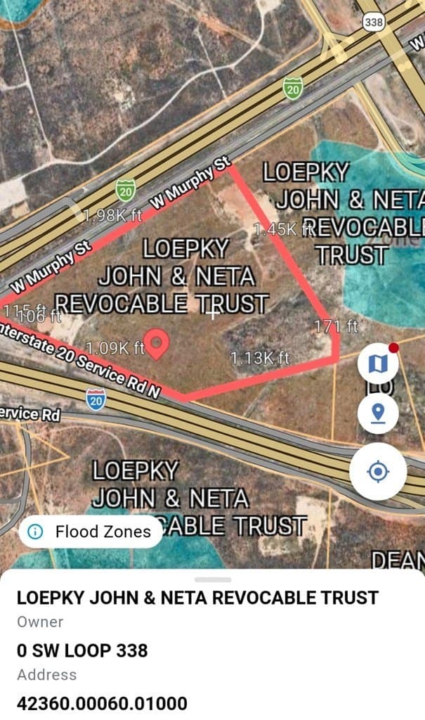 20 acres in Ector County gallery image 3
