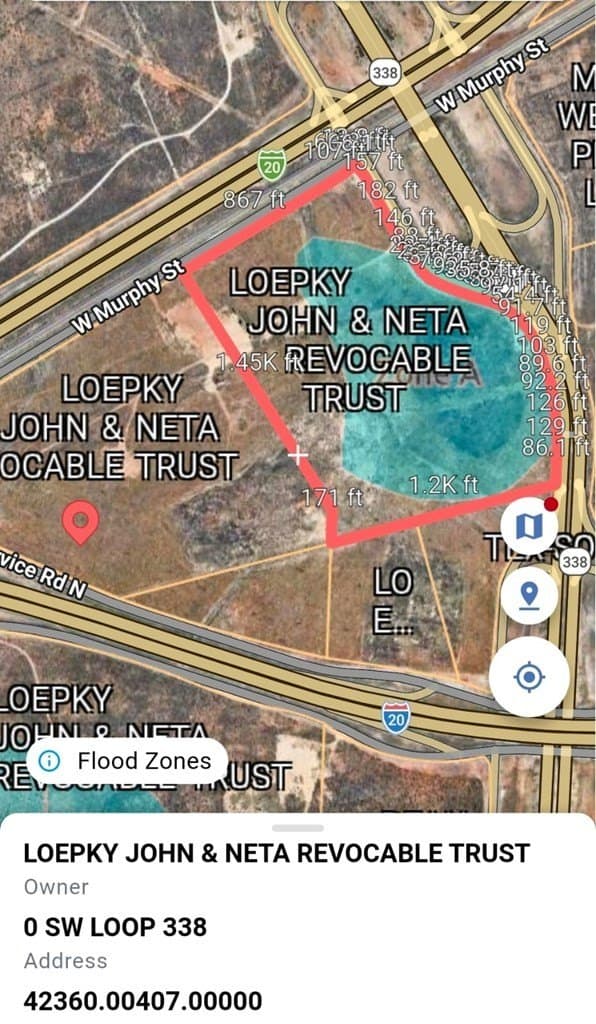 20 acres in Ector County gallery image 2