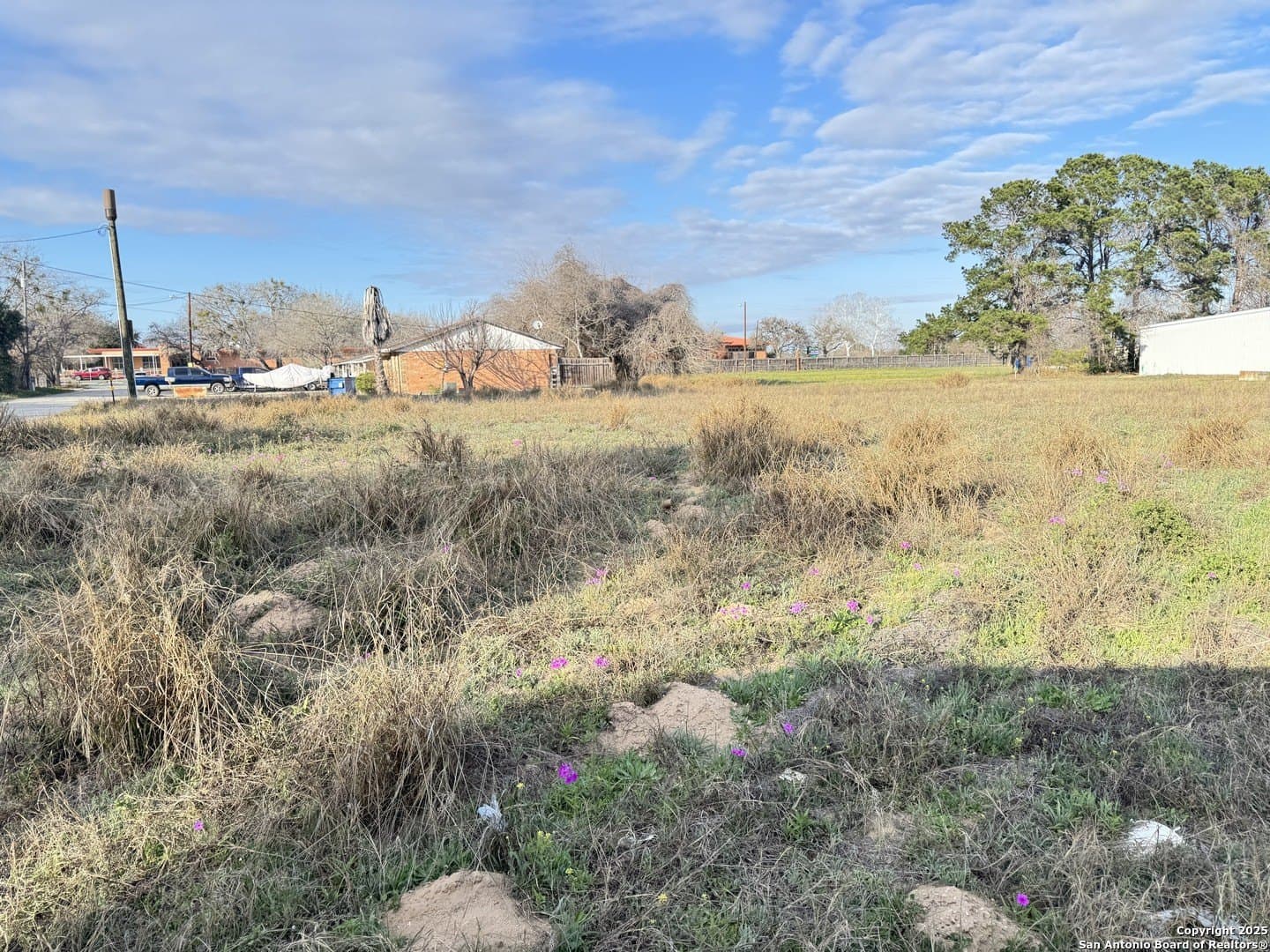 0.55 acres in Atascosa County gallery image 3