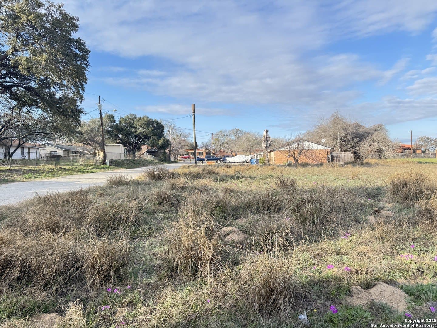 0.55 acres in Atascosa County gallery image 4