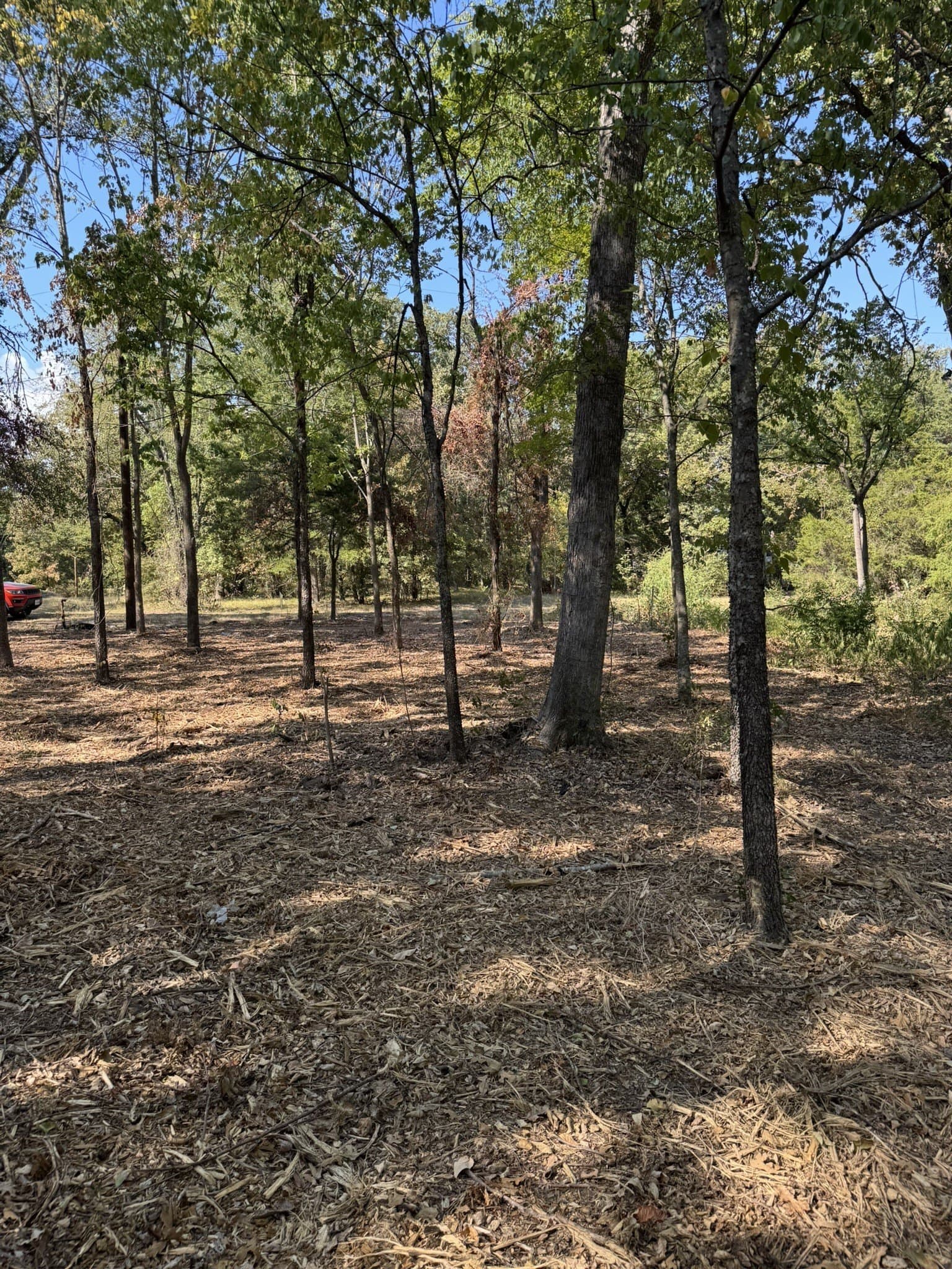0.38 acres in Henderson County - photo 3