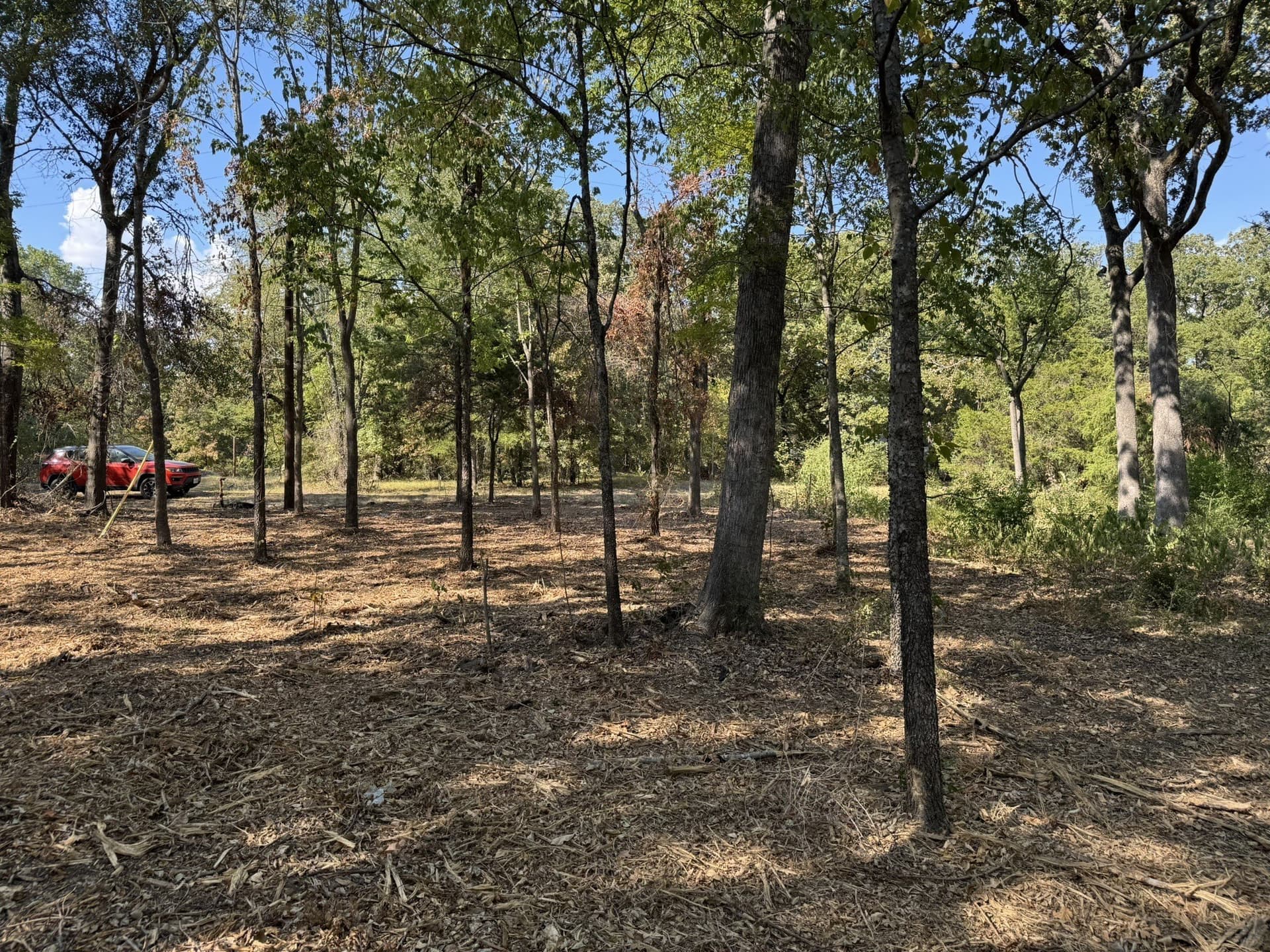 0.38 acres in Henderson County - photo 4
