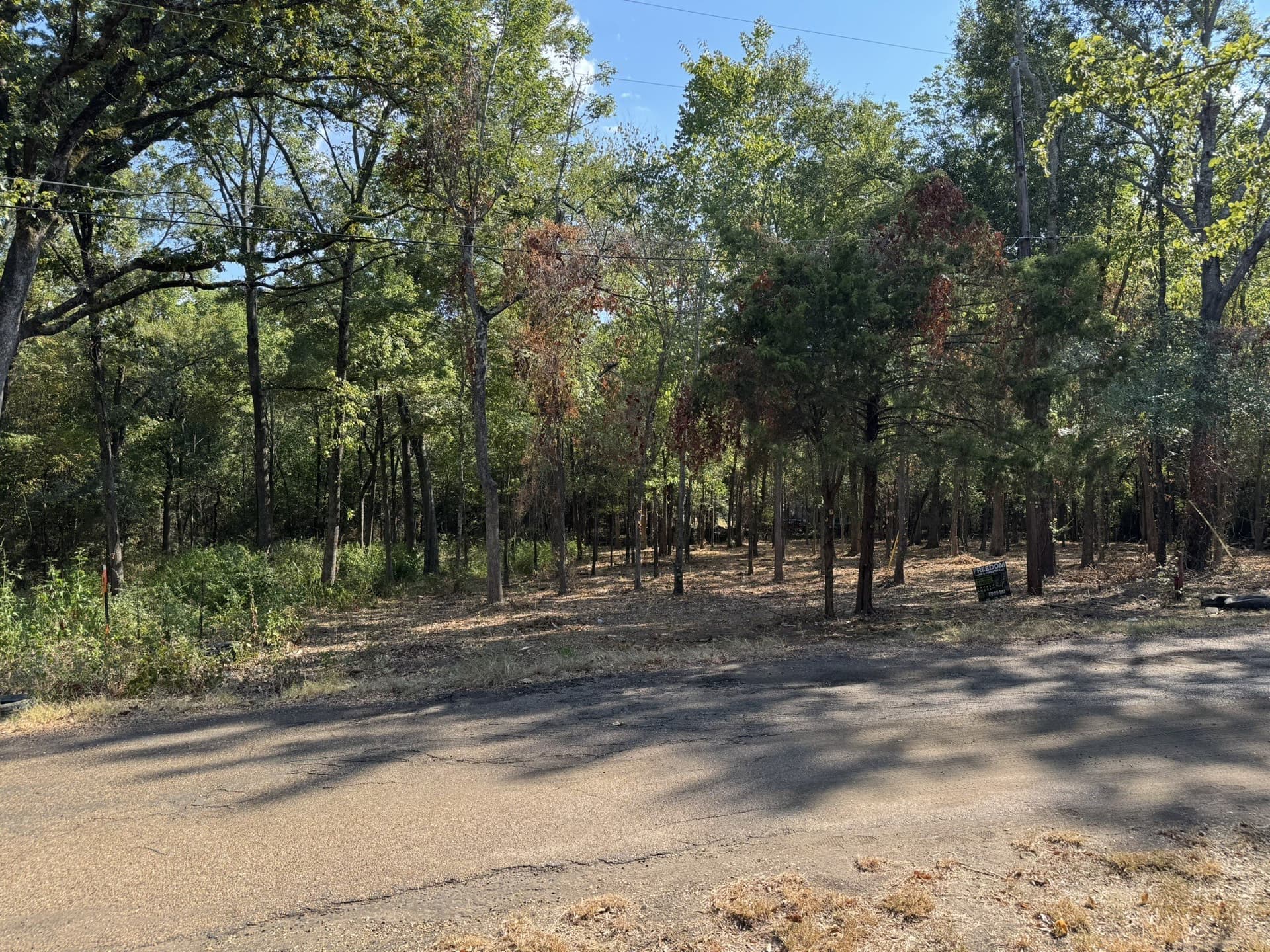 0.38 acres in Henderson County - photo 2