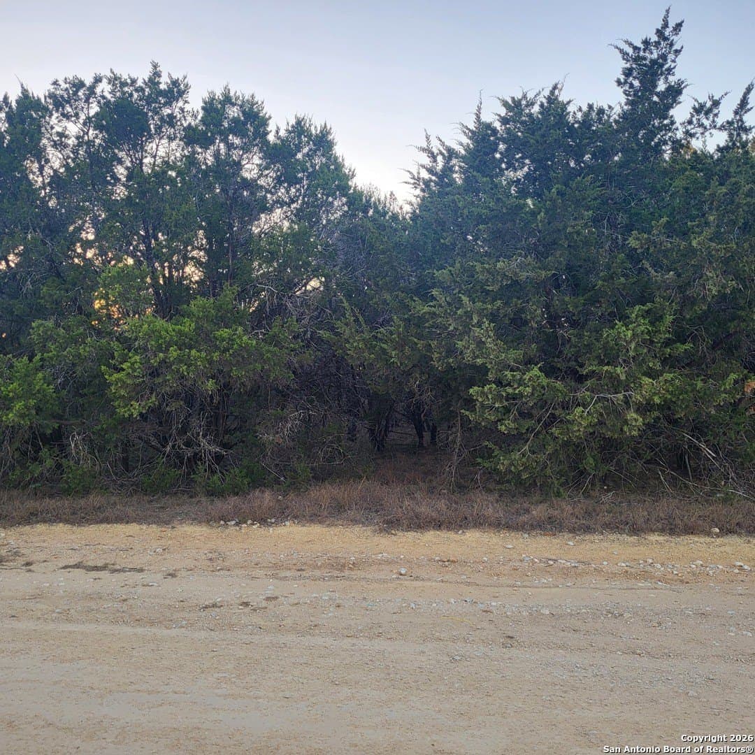 0.14 acres in Comal County gallery image 3