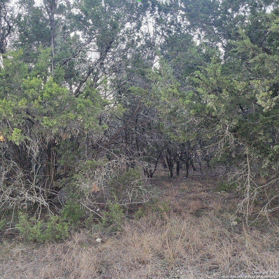 0.14 acres in Comal County gallery image 2
