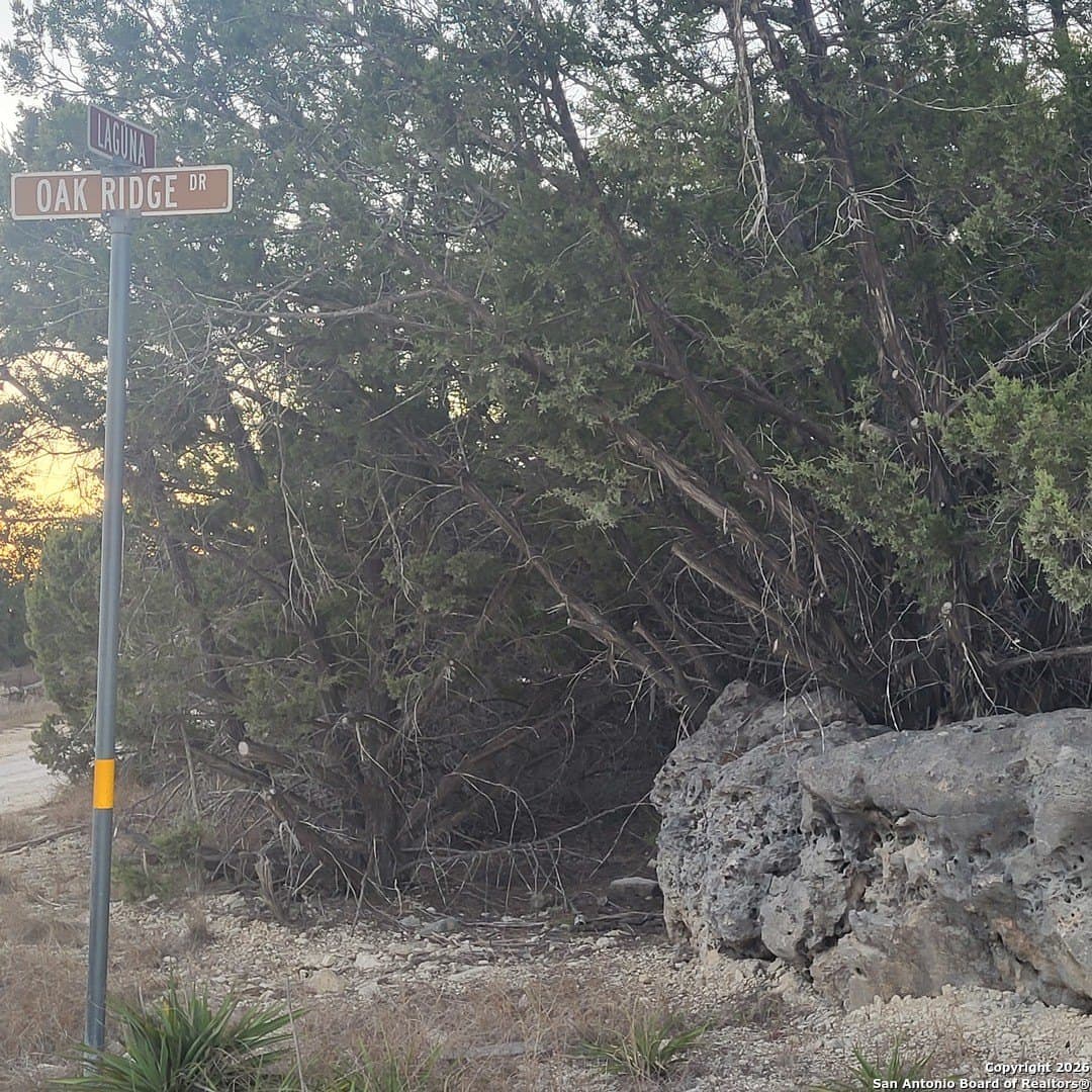 0.14 acres in Comal County gallery image 4