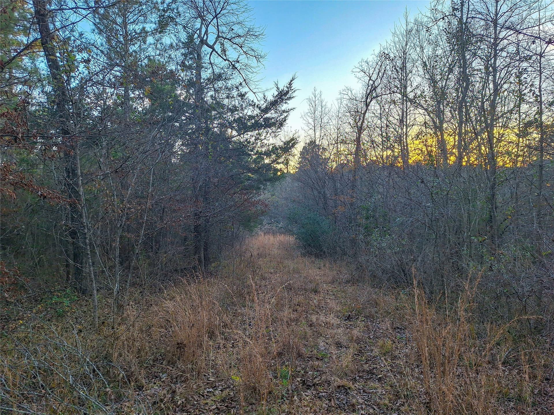 43.7 acres in Cass County - photo 35