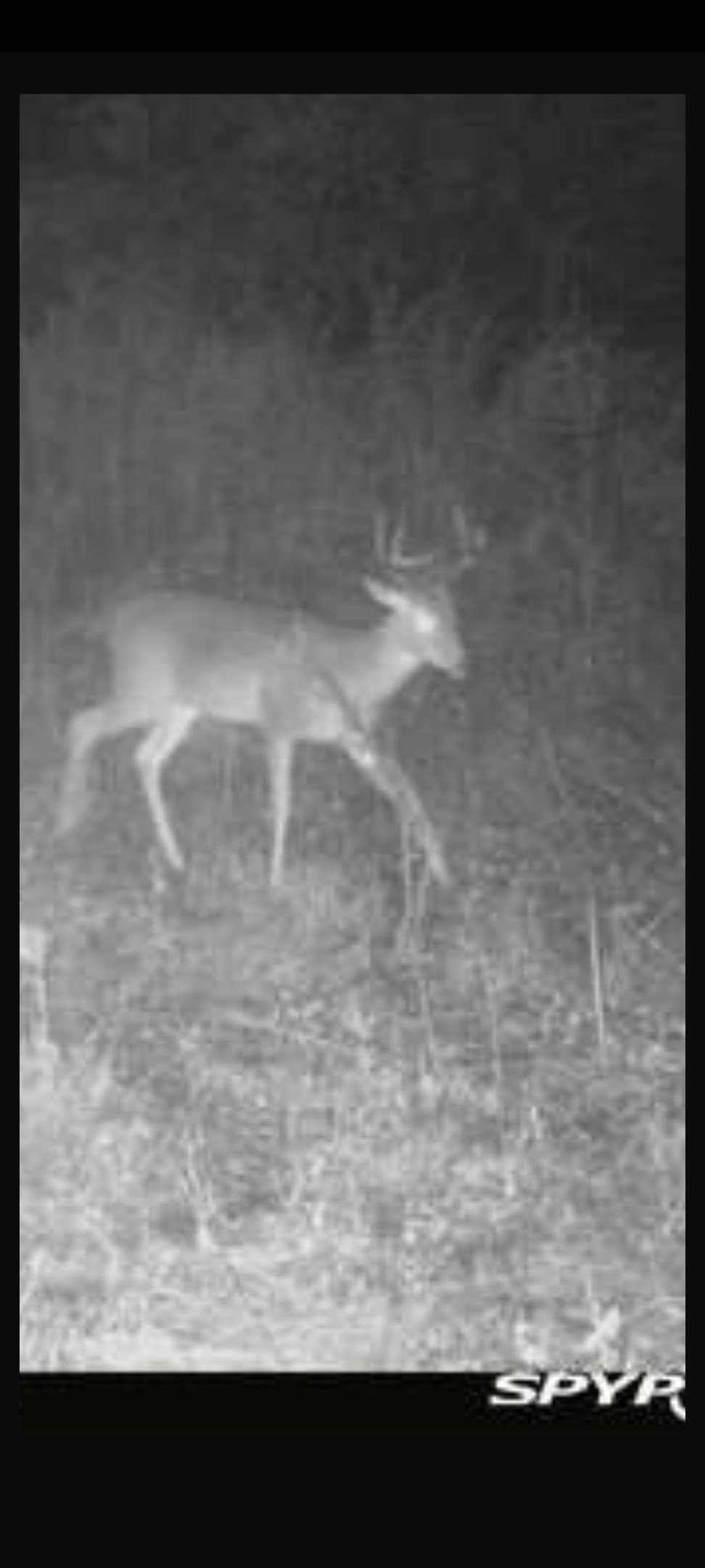 43.7 acres in Cass County - photo 30