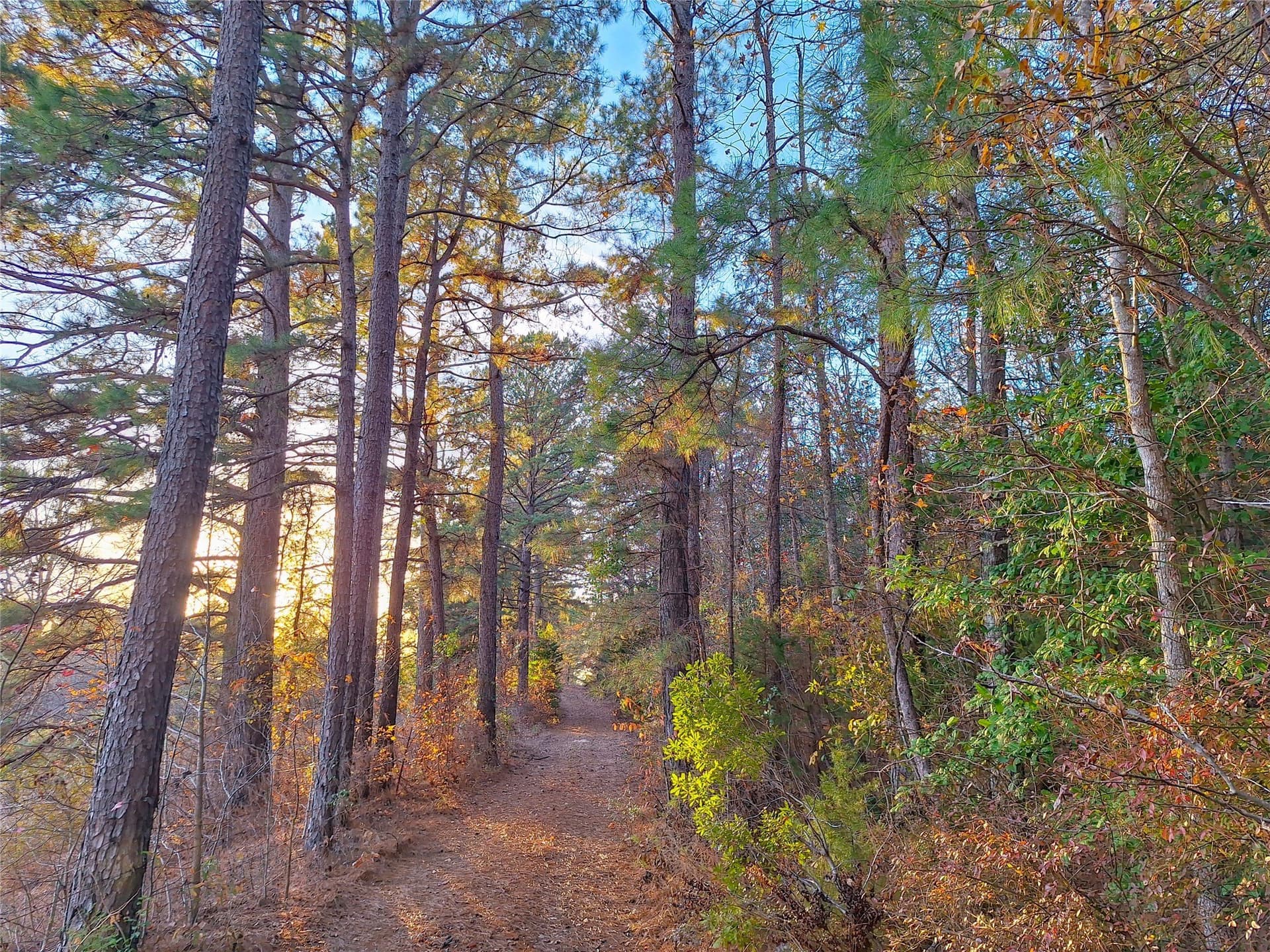 43.7 acres in Cass County