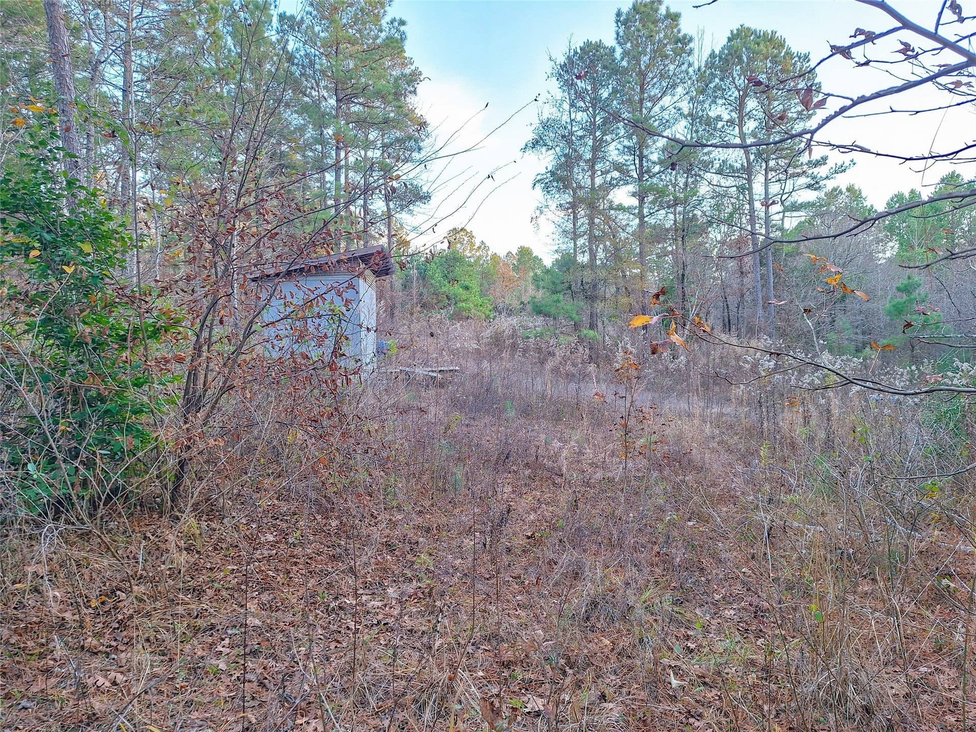43.7 acres in Cass County - photo 23