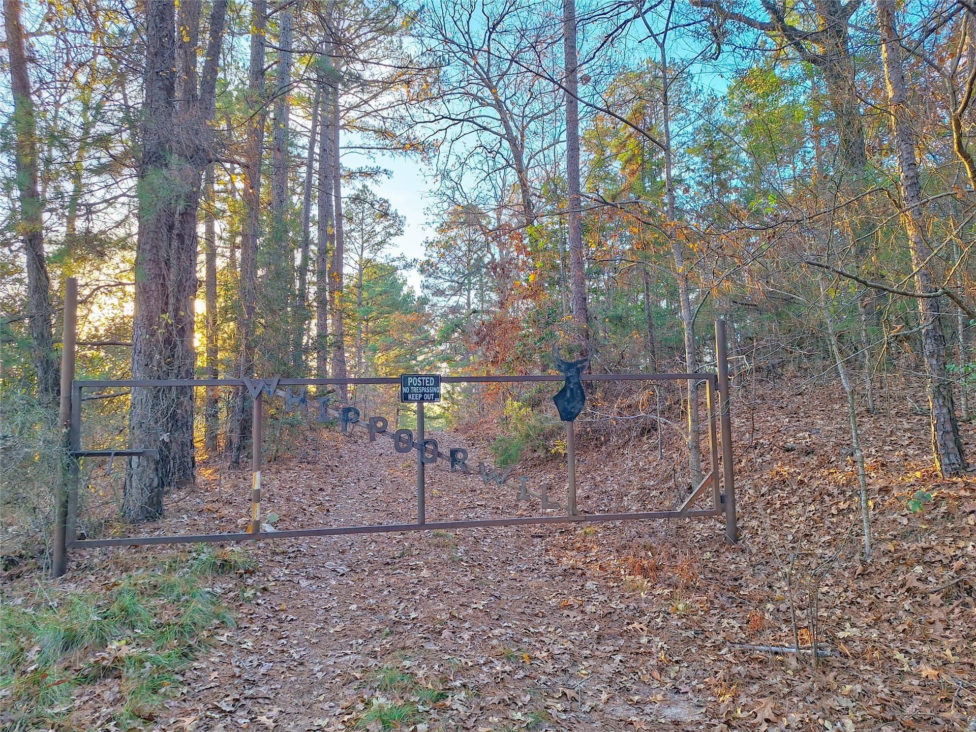 43.7 acres in Cass County gallery image 4