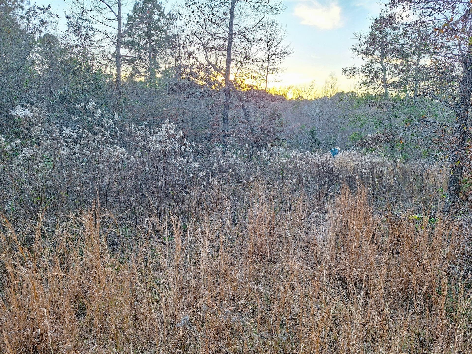 43.7 acres in Cass County - photo 37