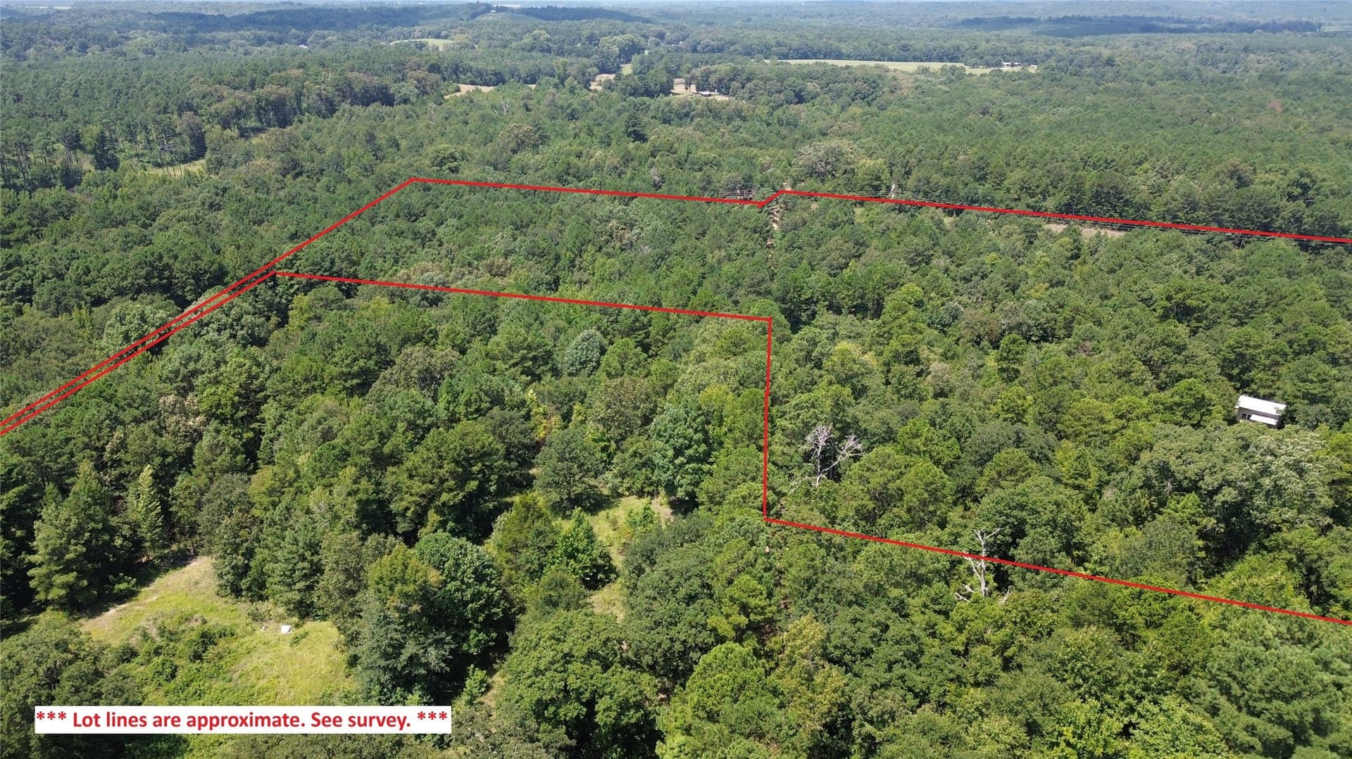 43.7 acres in Cass County - photo 6