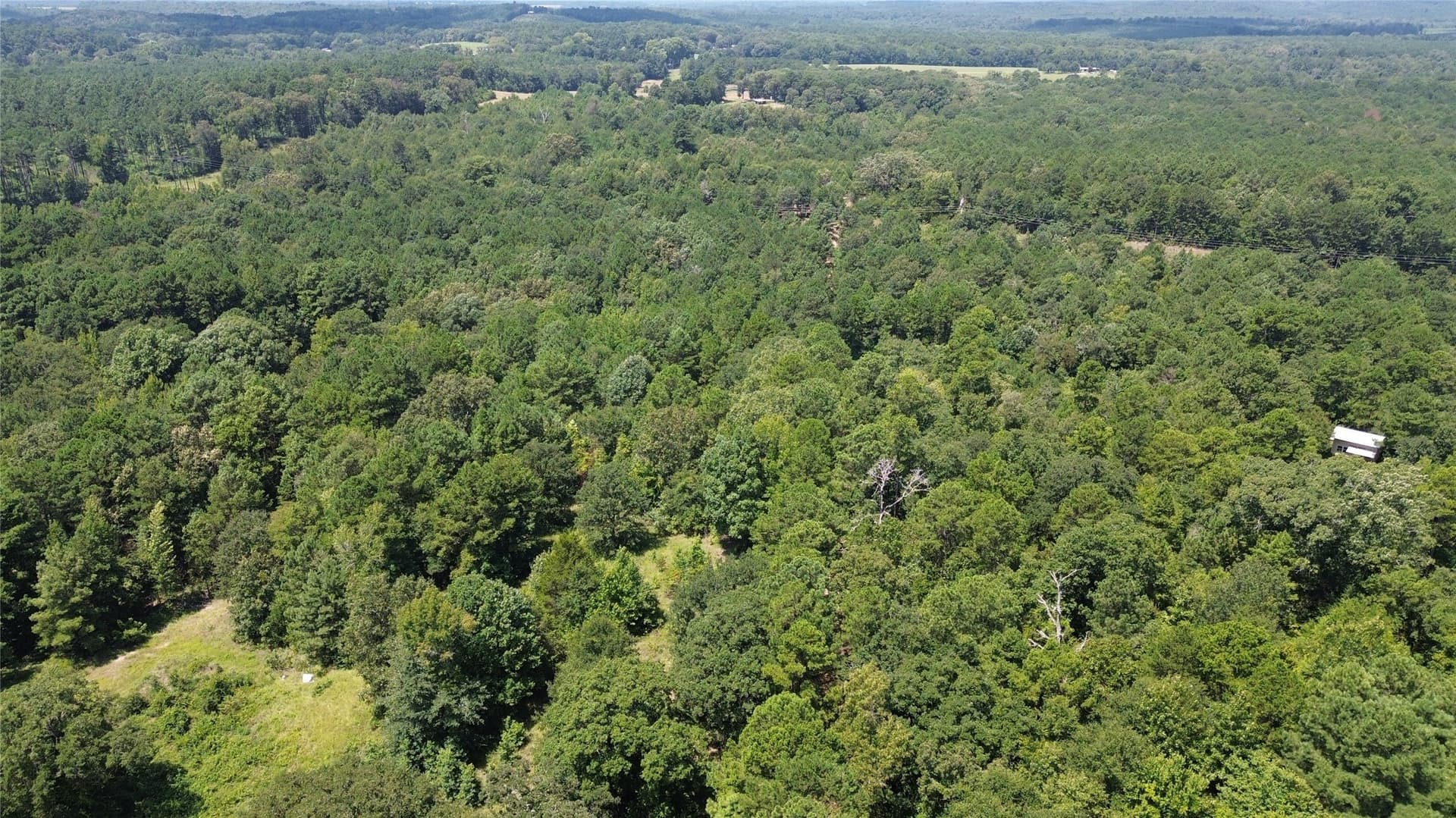 43.7 acres in Cass County - photo 5