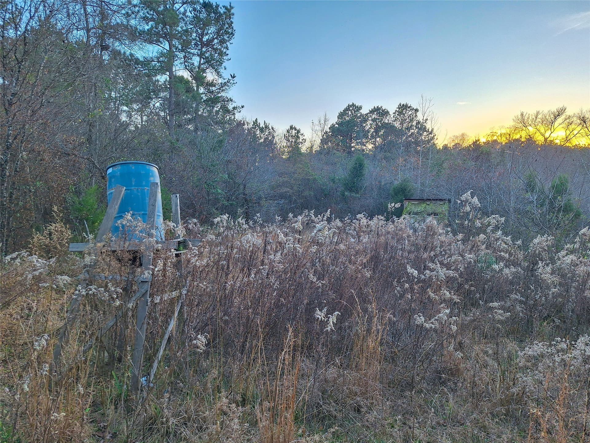 43.7 acres in Cass County - photo 24