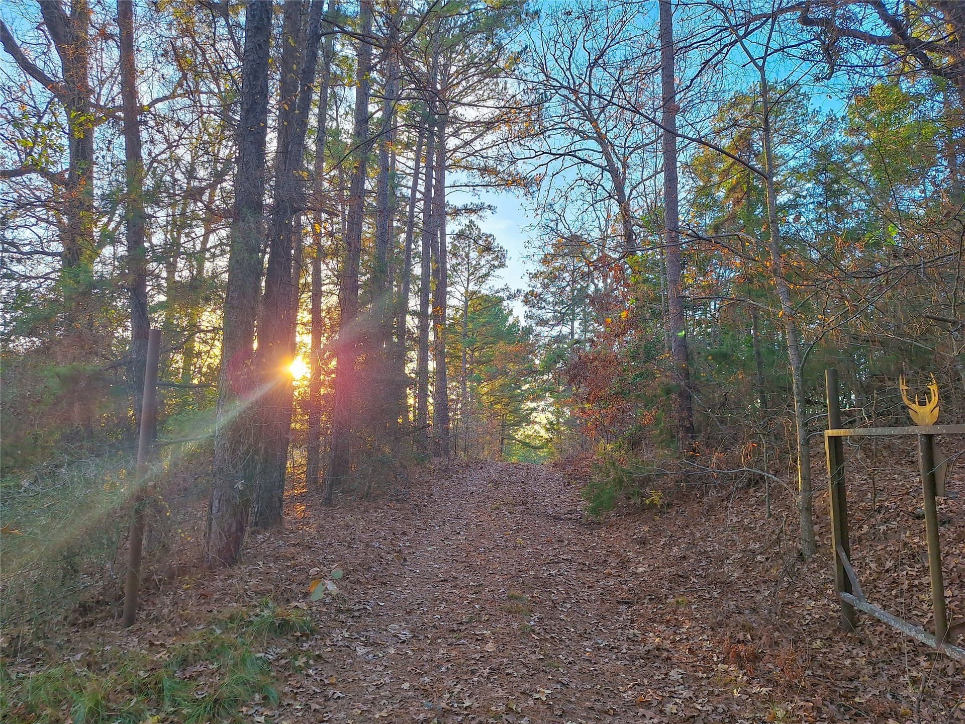 43.7 acres in Cass County featured view