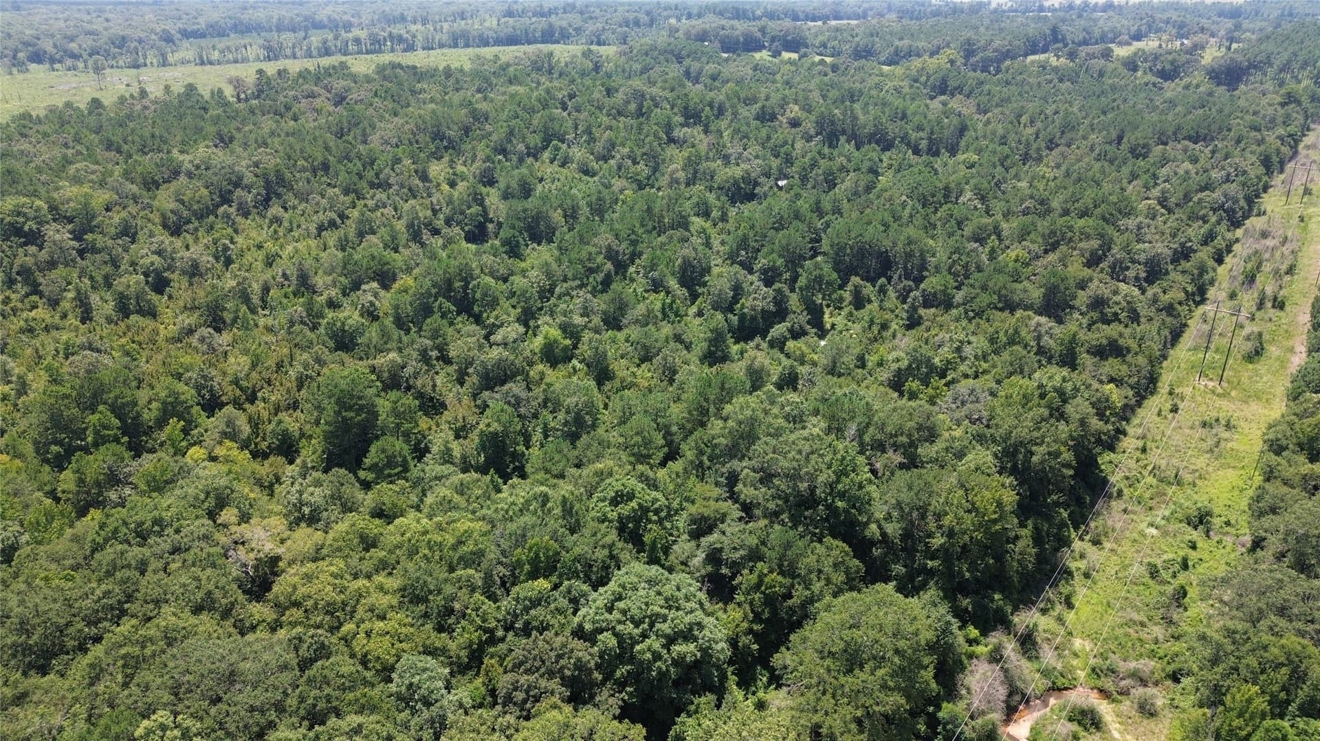 43.7 acres in Cass County