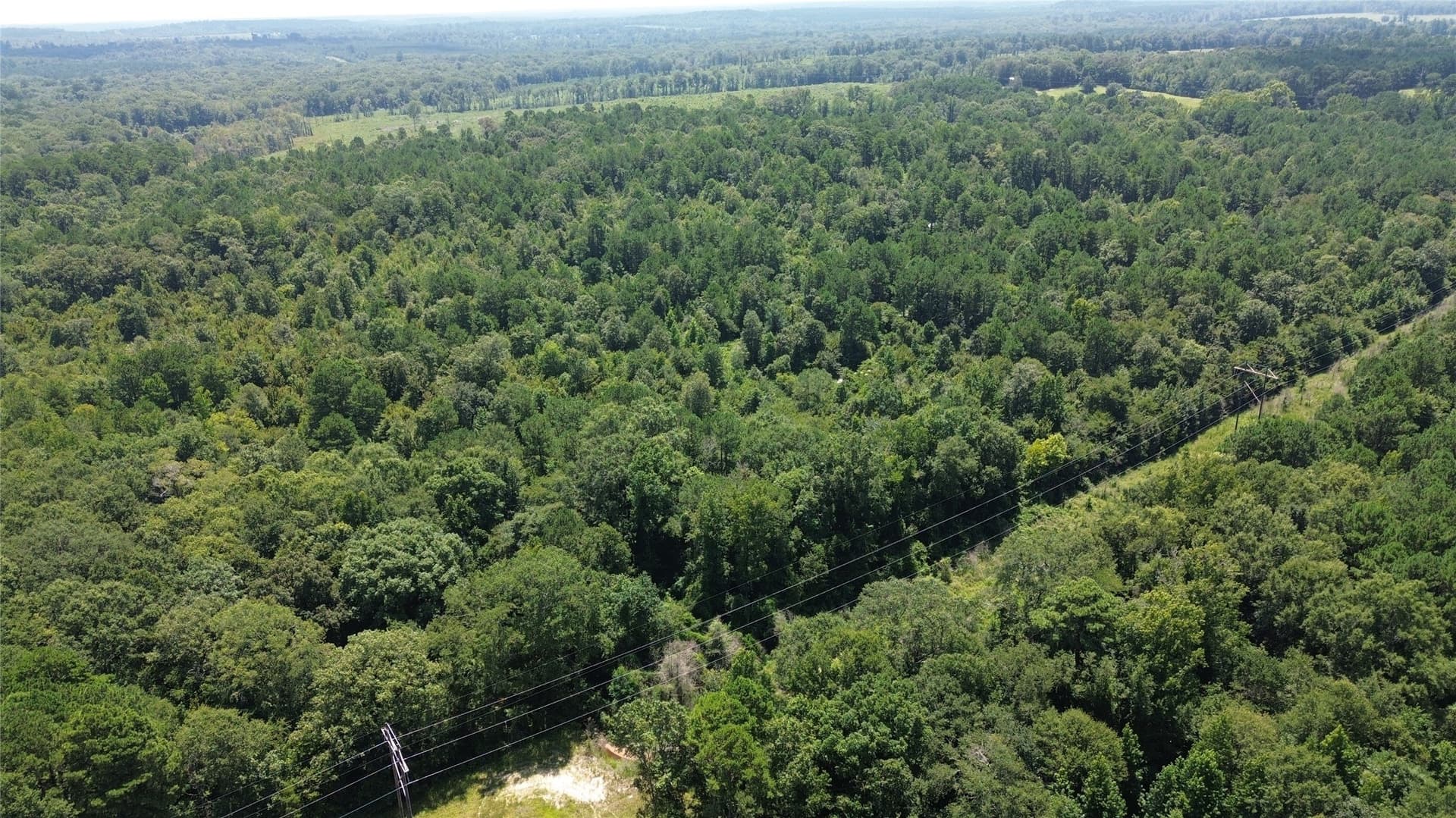 43.7 acres in Cass County - photo 4