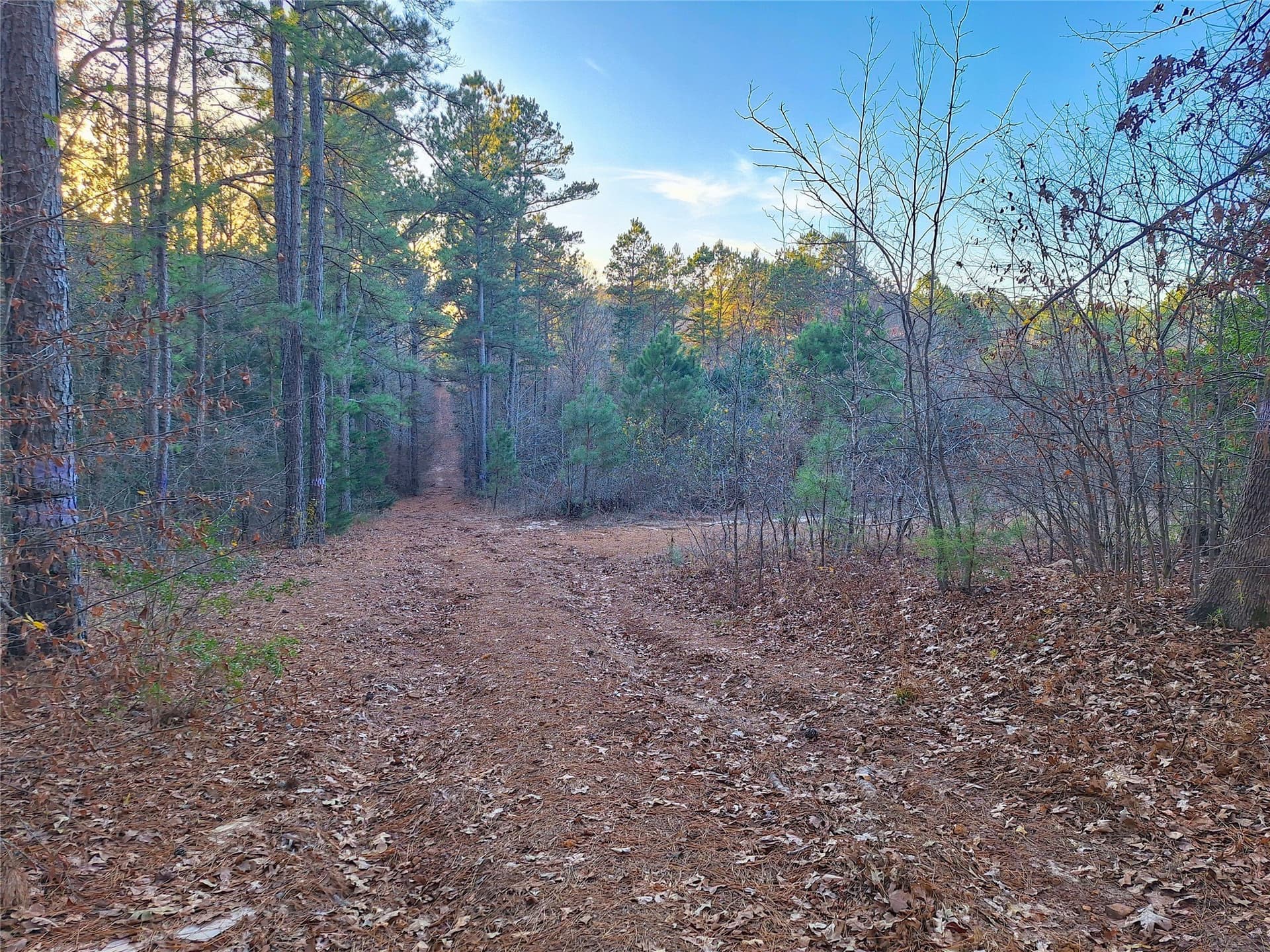 43.7 acres in Cass County - photo 33