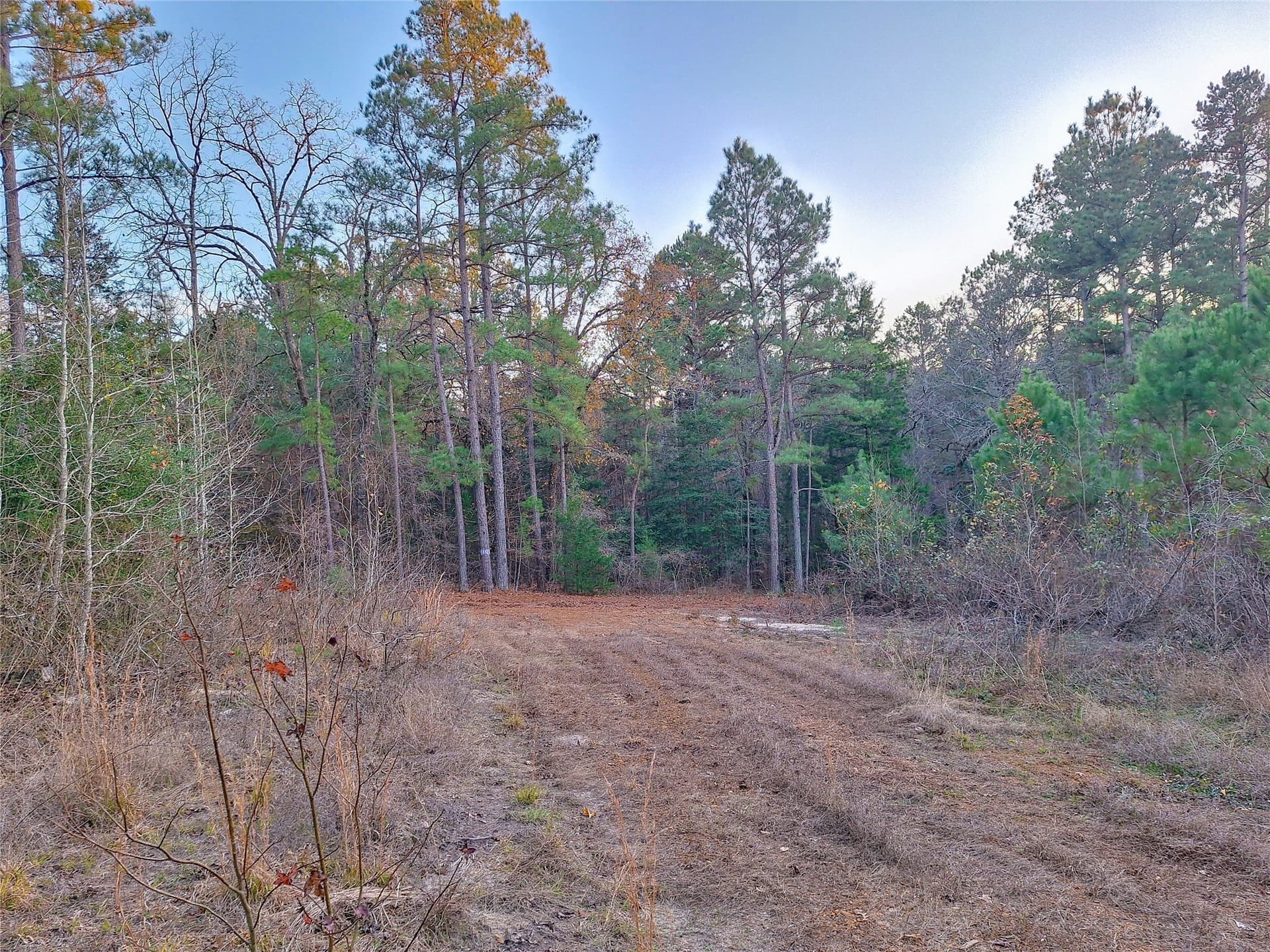43.7 acres in Cass County - photo 36