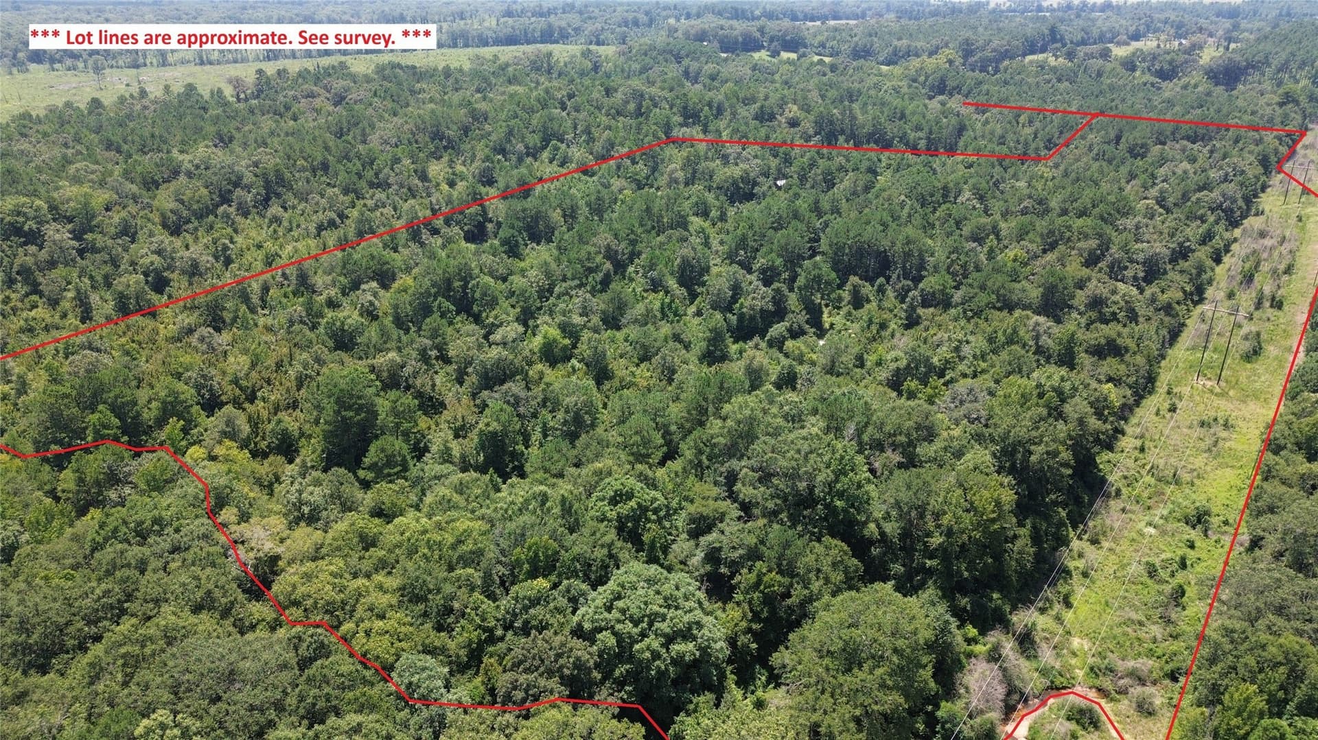 43.7 acres in Cass County - photo 2