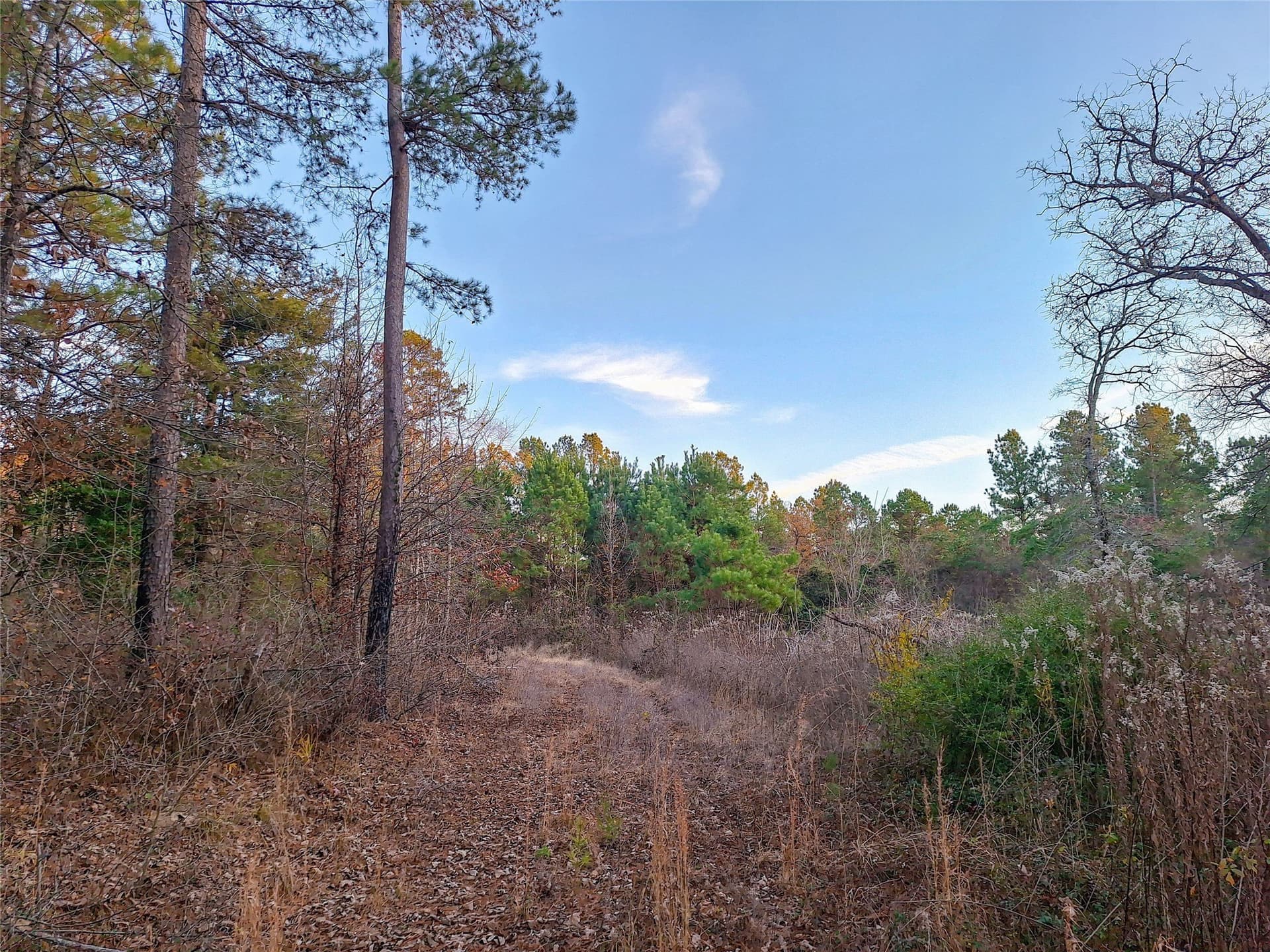 43.7 acres in Cass County - photo 39